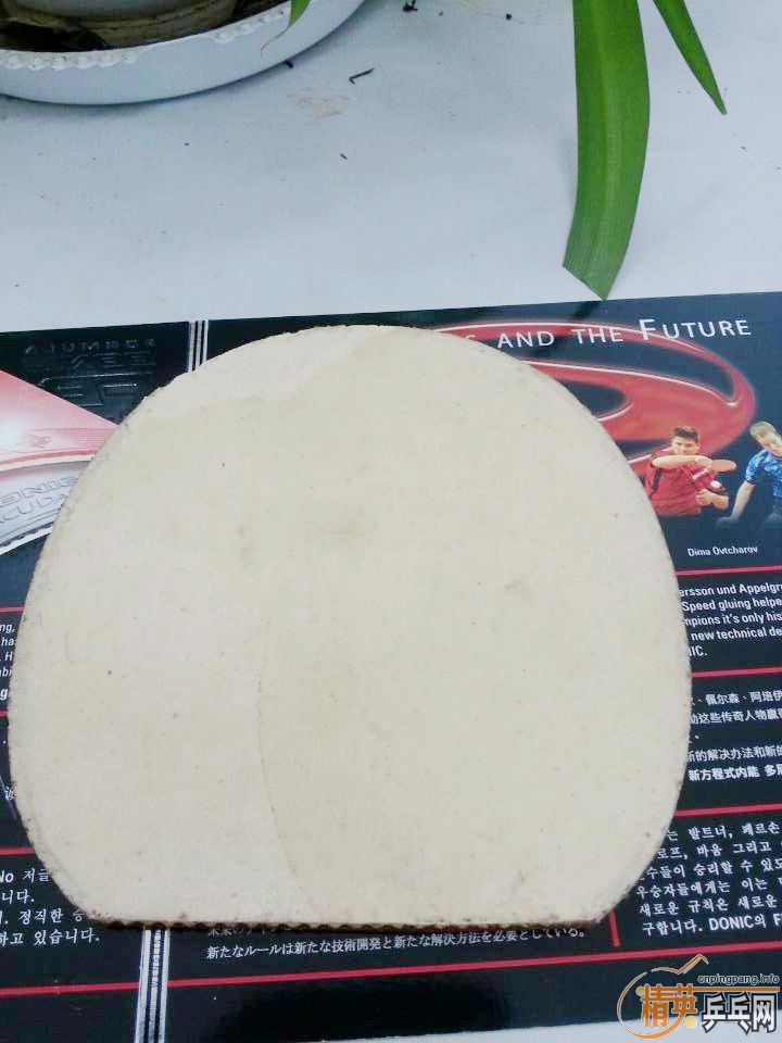 ���۳�DONIC S1�ͺ��� T64����������