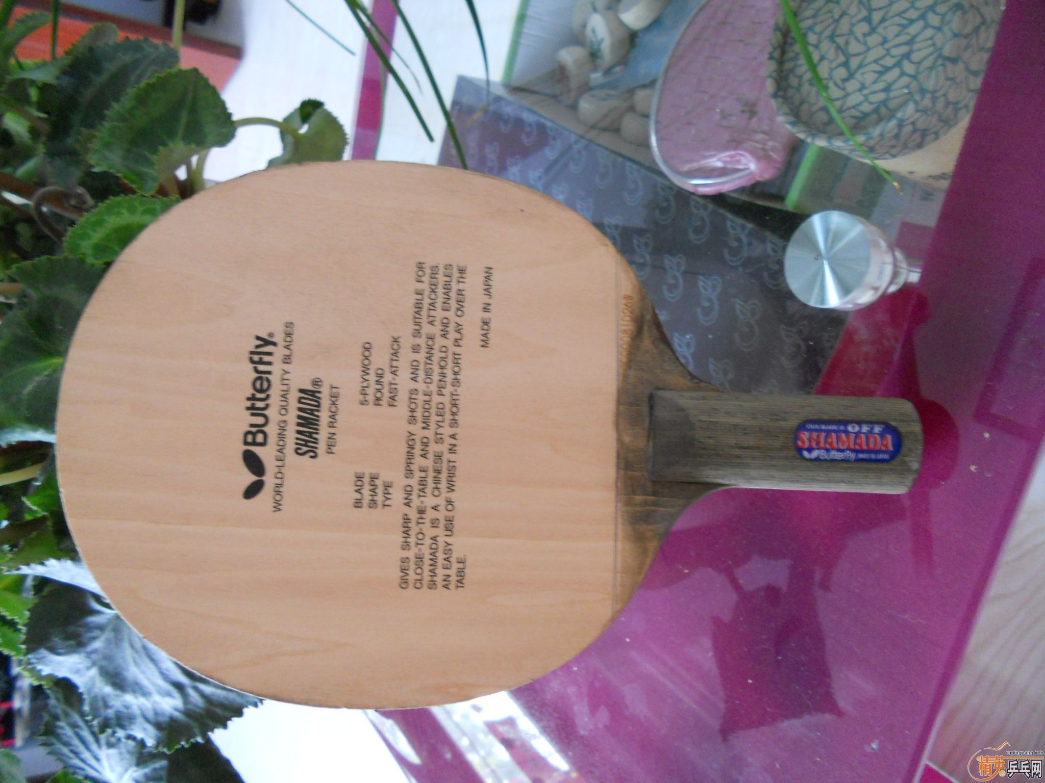 ��������ɳ����۸�300����