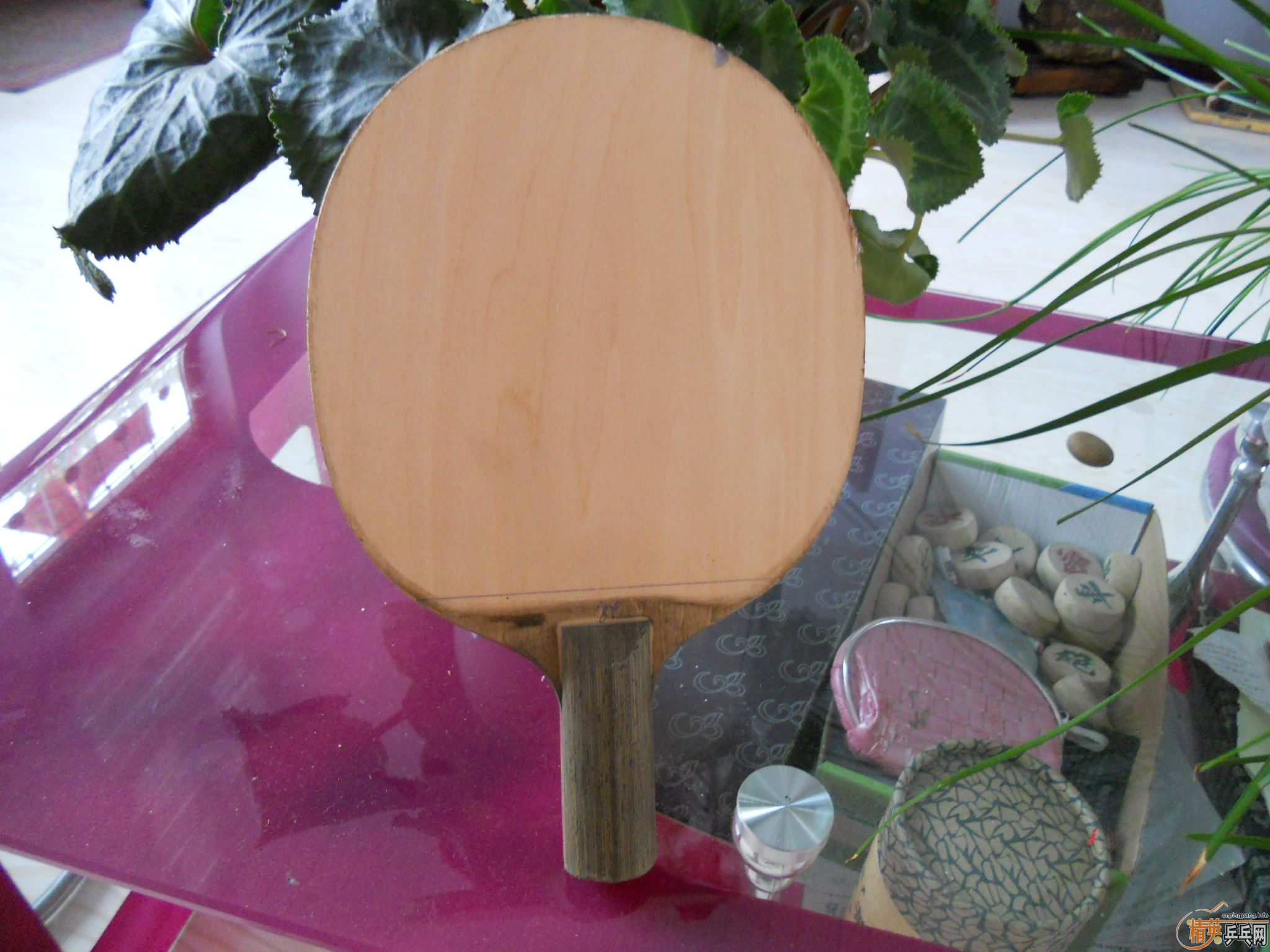 ��������ɳ����۸�300����