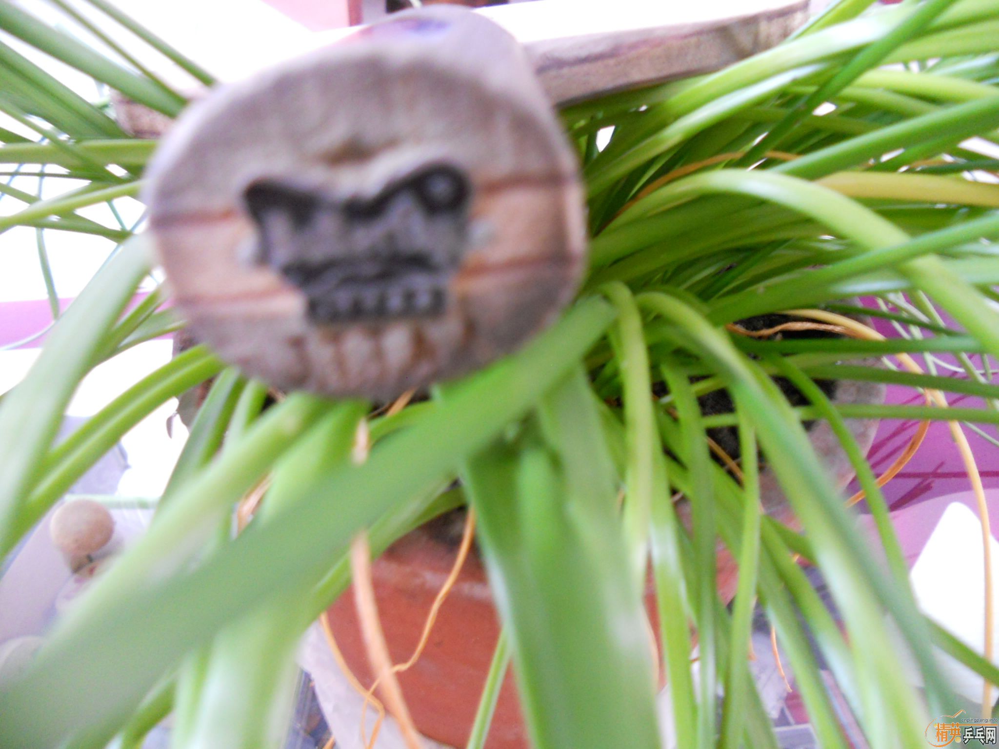 ��������ɳ����۸�300����