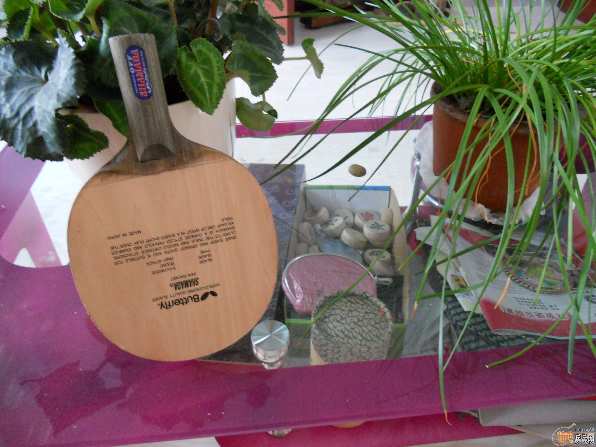 ��������ɳ����۸�300����