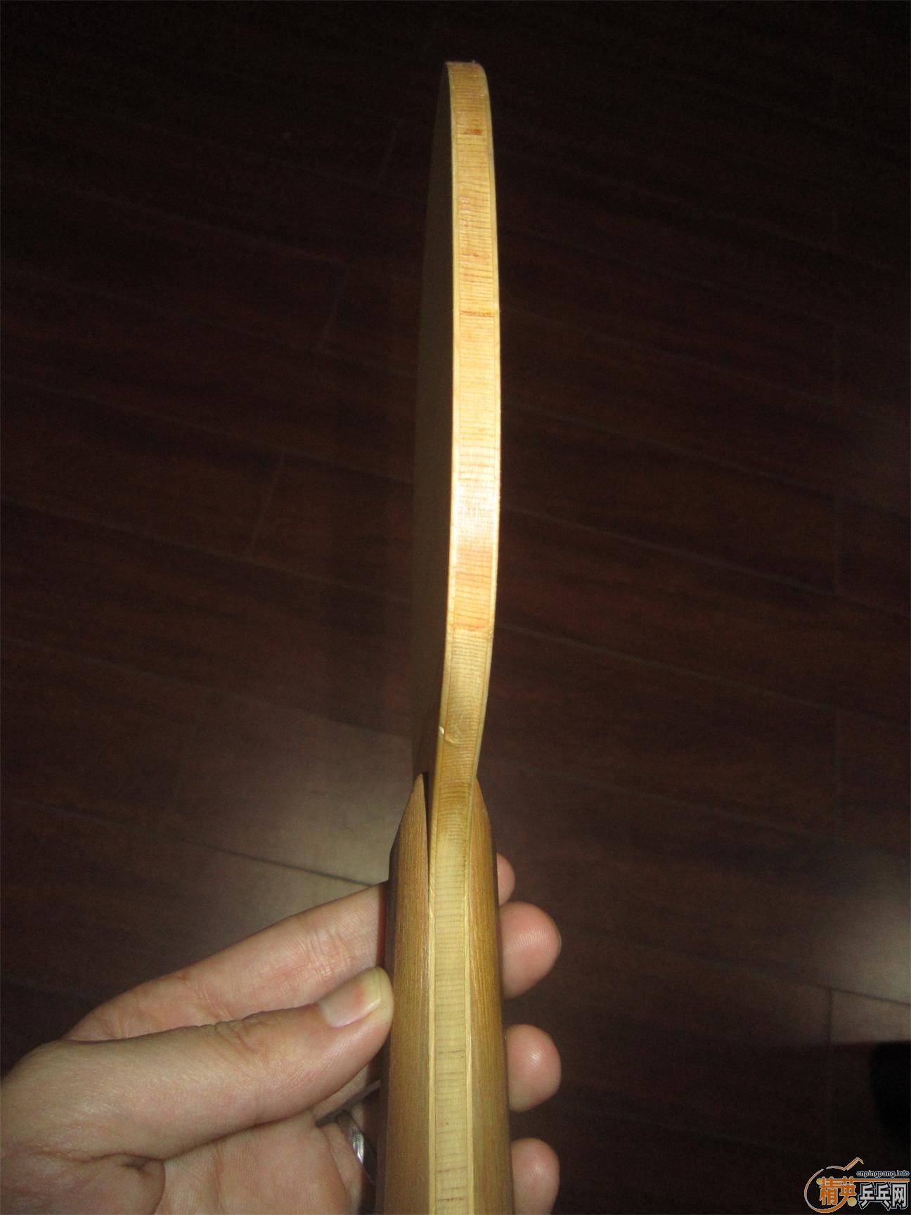 ��nittaku�ų���telion�װ壬������ľ�����Ƚӽ������ָ�