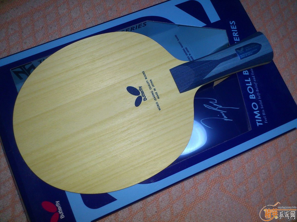 ֧������FL����ALC