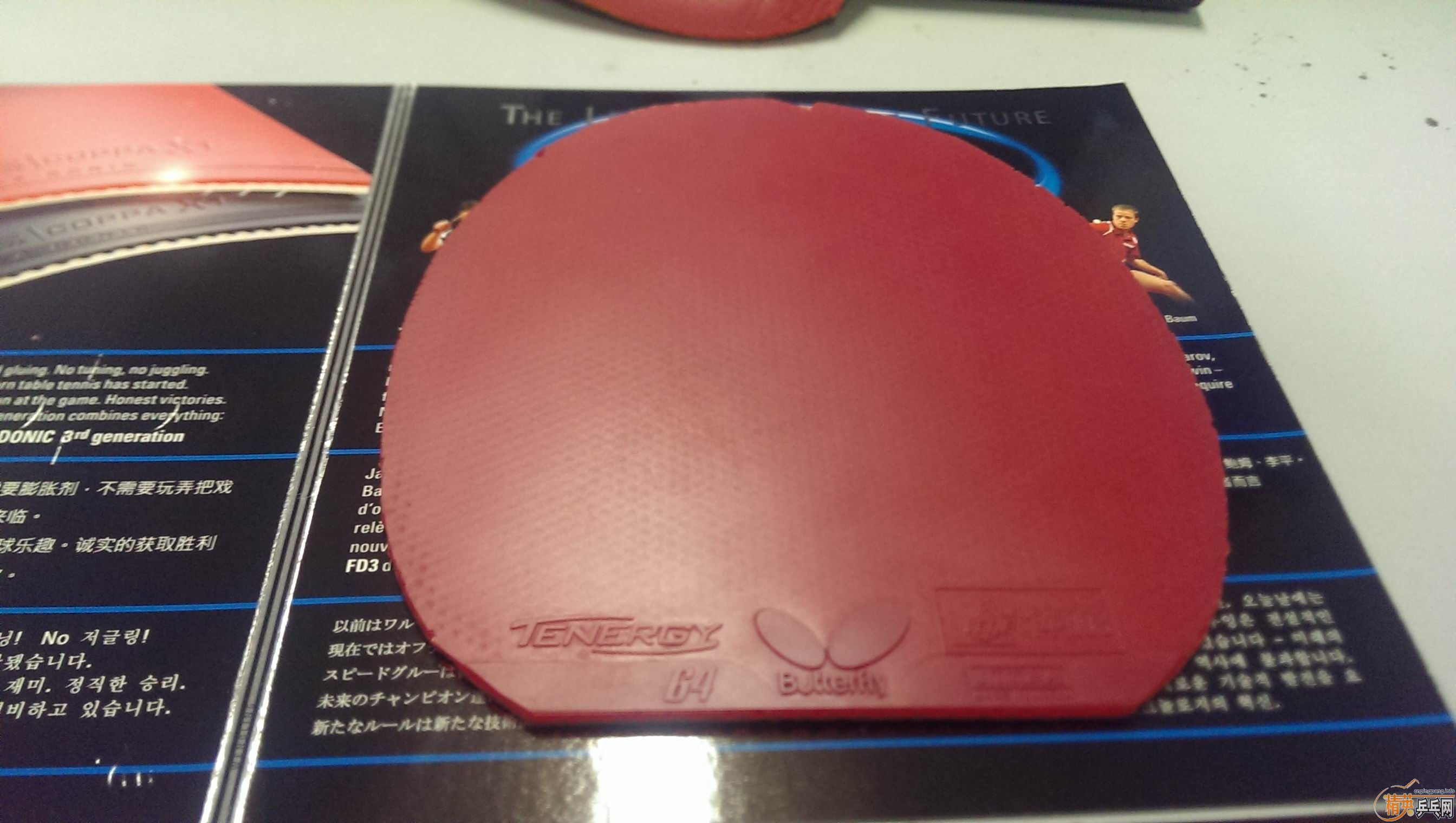 �����ǽ�Ƥ