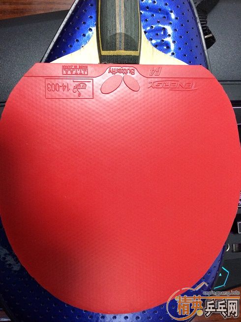 �����ˣ��ͼ۴�����ż̿�ALC