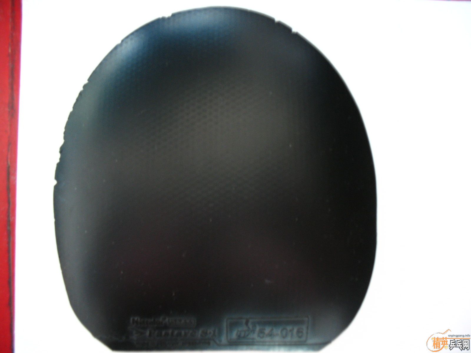 �۶���������S1��ɫ�׽�����