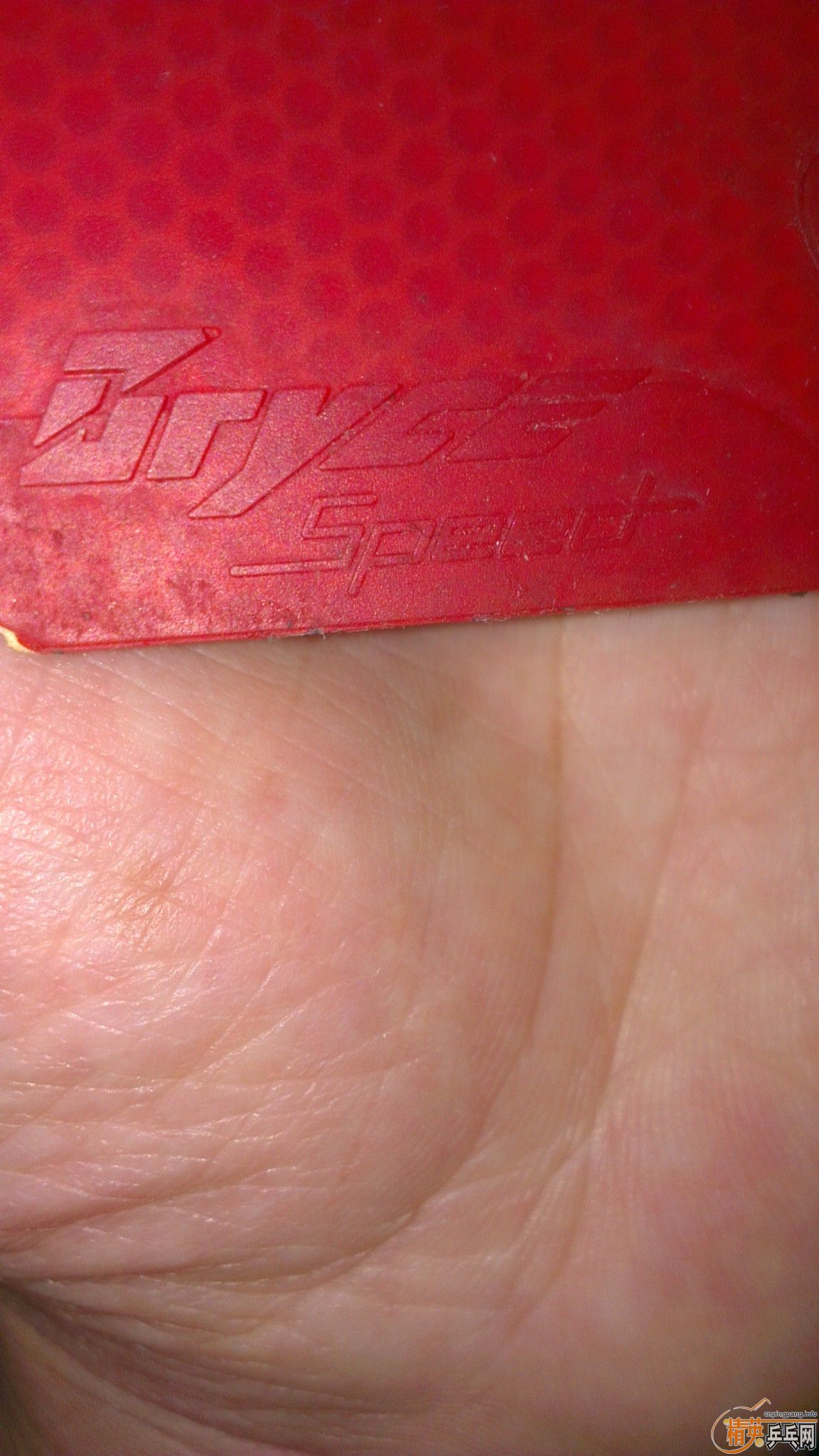 ��������÷��+����ZLF+����ٶȣ������