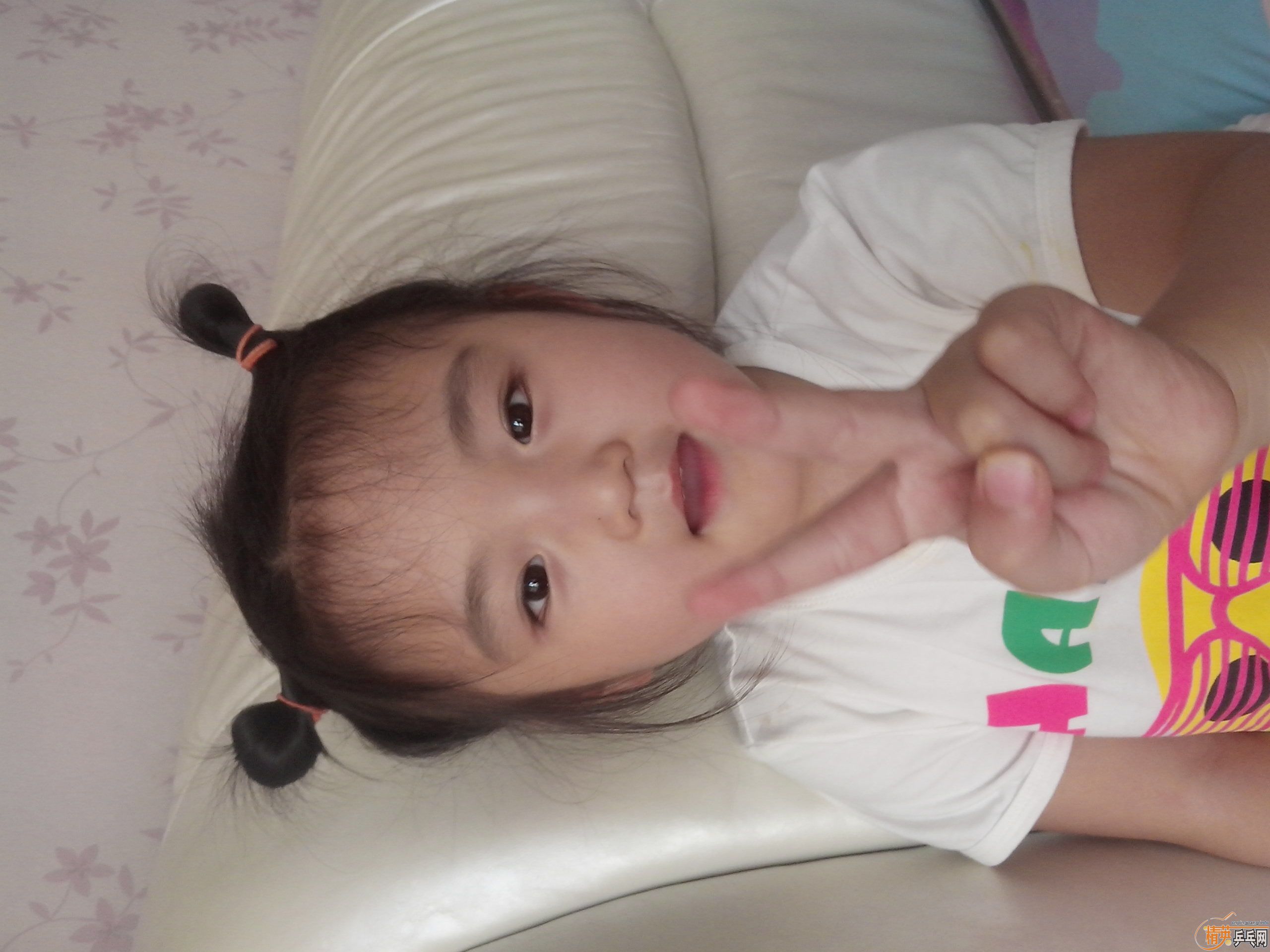 лֱ ˹̼ 85   550Ԫ  ϵ qq 315549175
