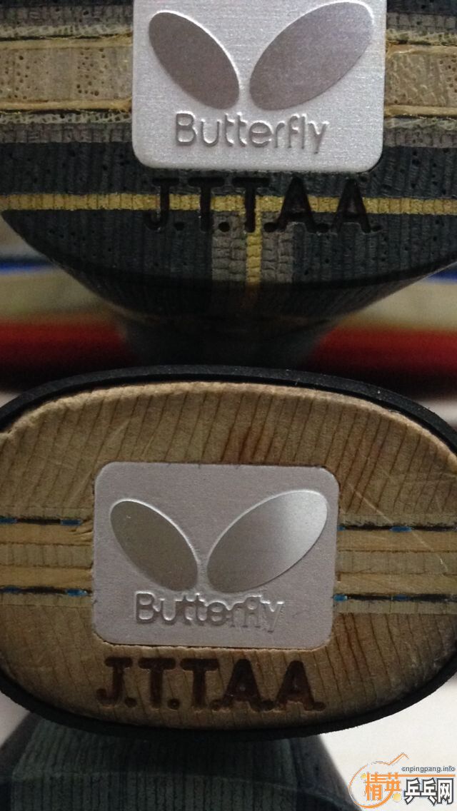 Ѱ￴ BUTTERFLY