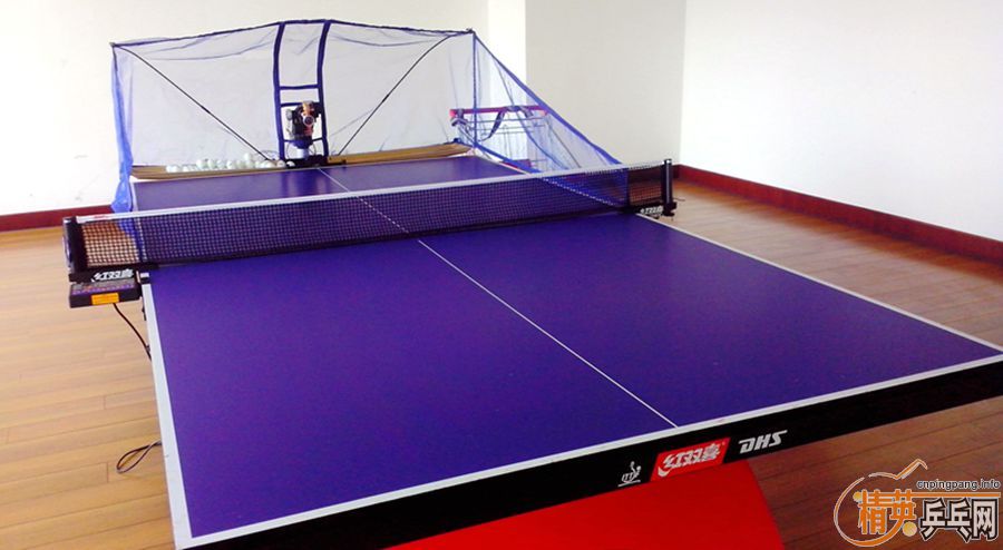 ת�ý��µ�̩��ƹ�������A9