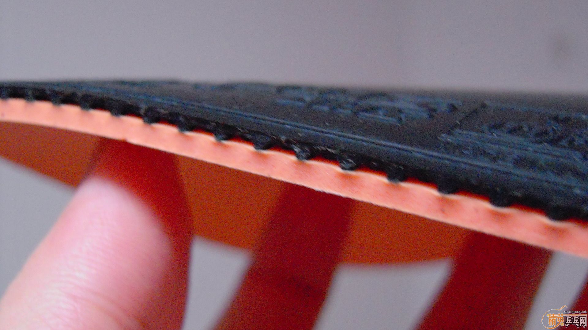 ����NEOʡ��3����ɫ��2.1��38�ȣ�110���ʡ�