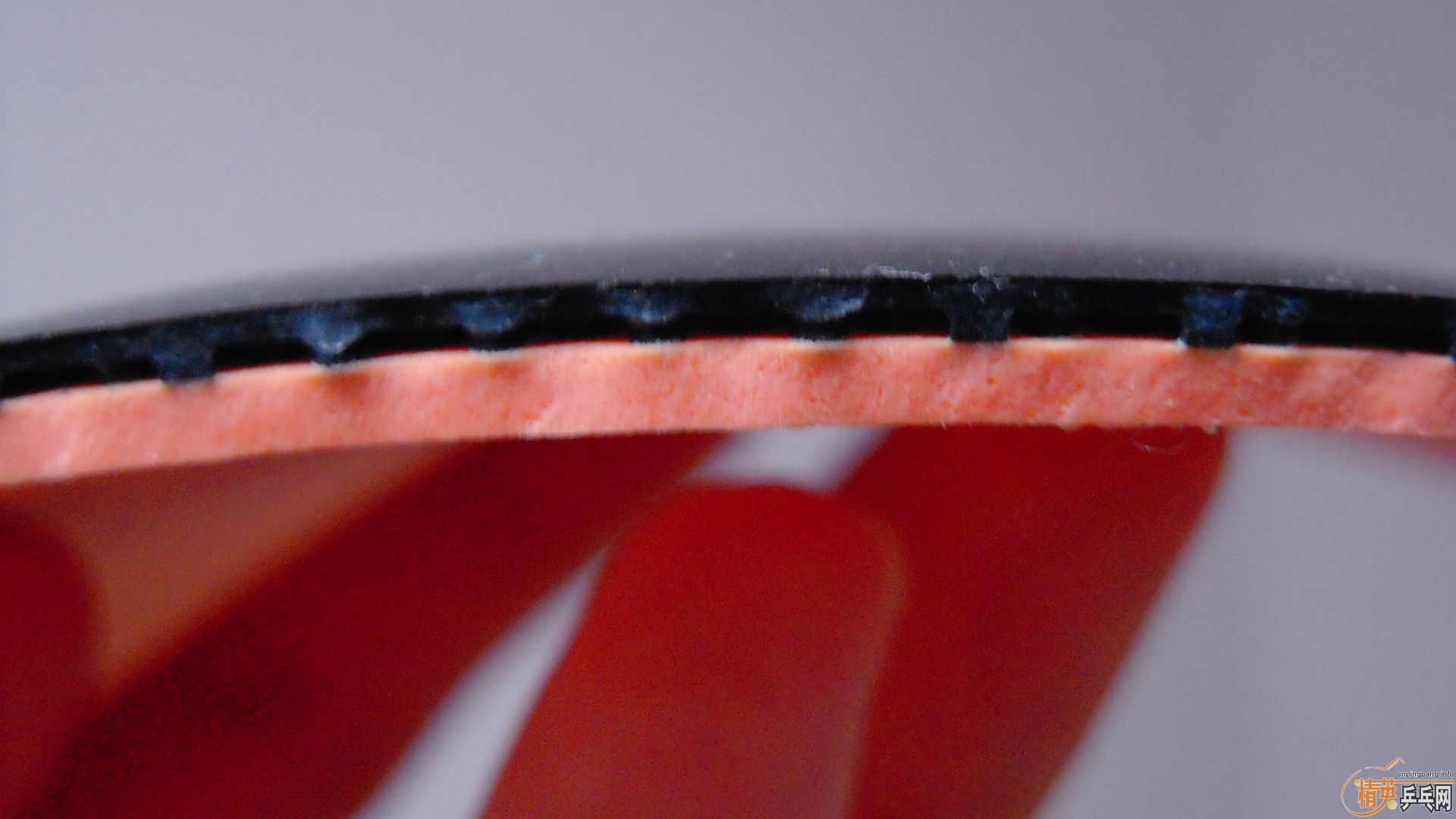 ����NEOʡ��3����ɫ��2.1��38�ȣ�110���ʡ�