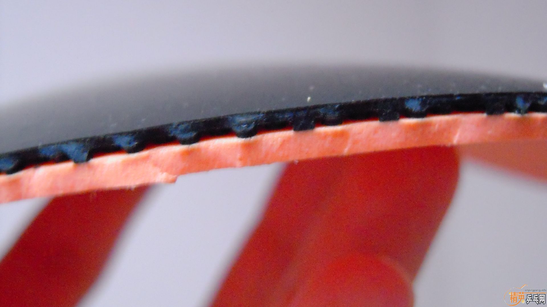 ����NEOʡ��3����ɫ��2.1��38�ȣ�110���ʡ�