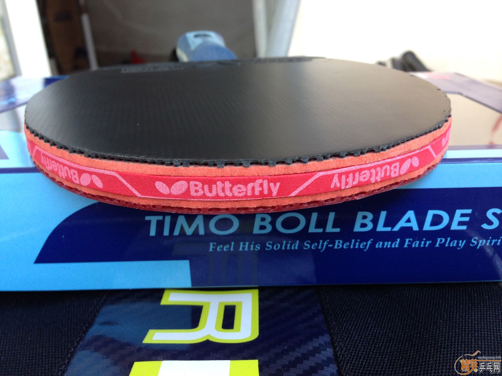 ��������ALC��+��T05��+��T64����ALC��64ֻ�������νӽ�ȫ�ף�������Ÿ����ͼ����ӭ�������ͣ�