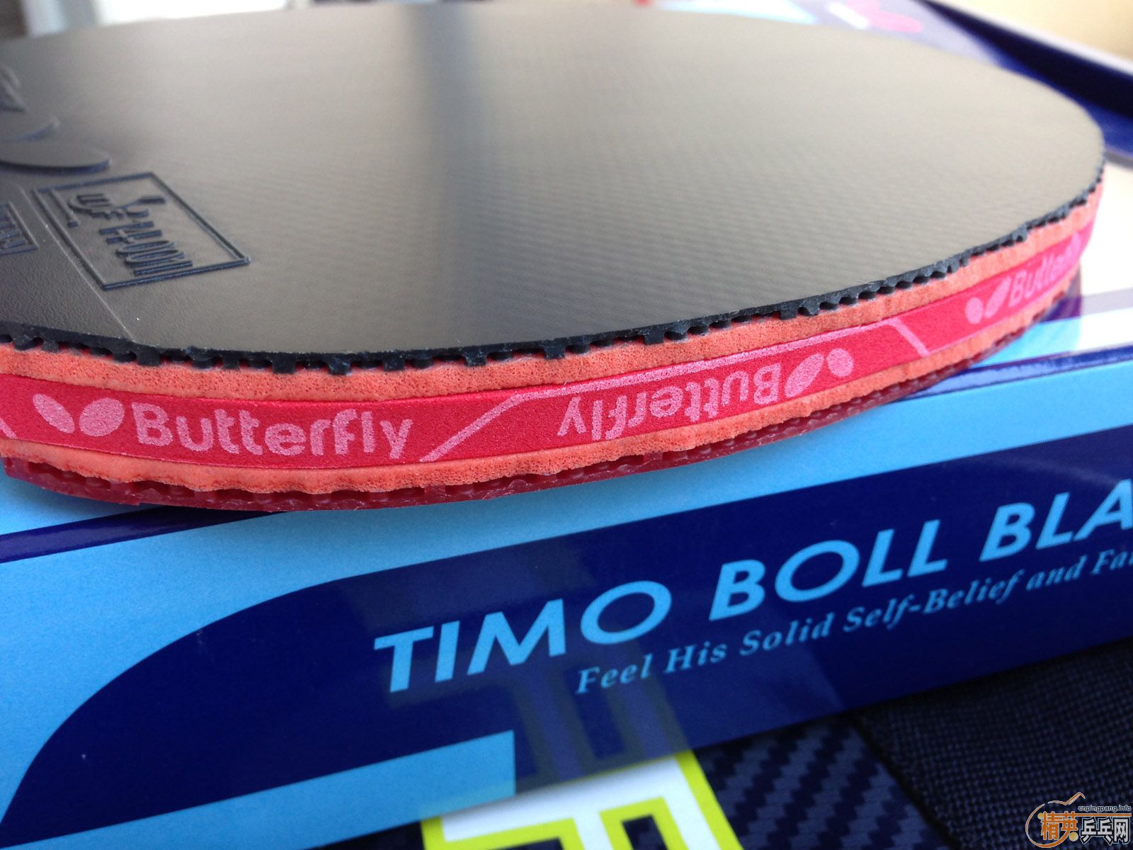 ��������ALC��+��T05��+��T64����ALC��64ֻ�������νӽ�ȫ�ף�������Ÿ����ͼ����ӭ�������ͣ�