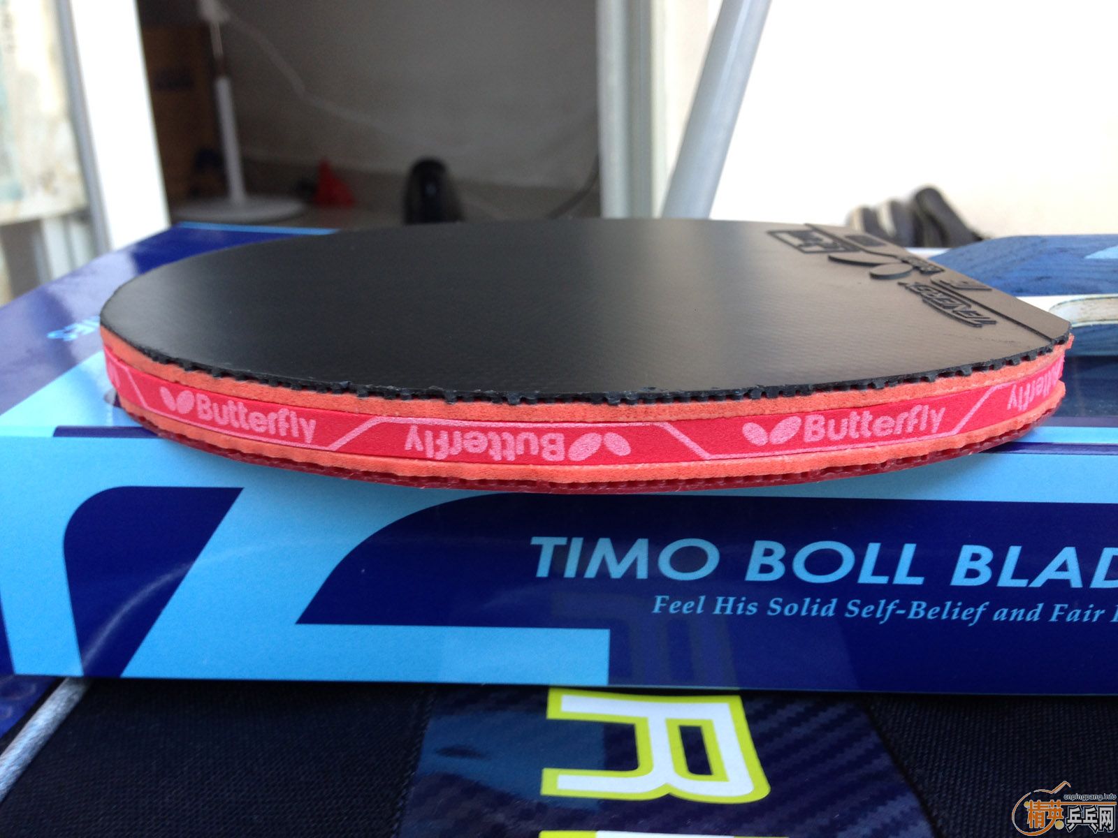 ��������ALC��+��T05��+��T64����ALC��64ֻ�������νӽ�ȫ�ף�������Ÿ����ͼ����ӭ�������ͣ�