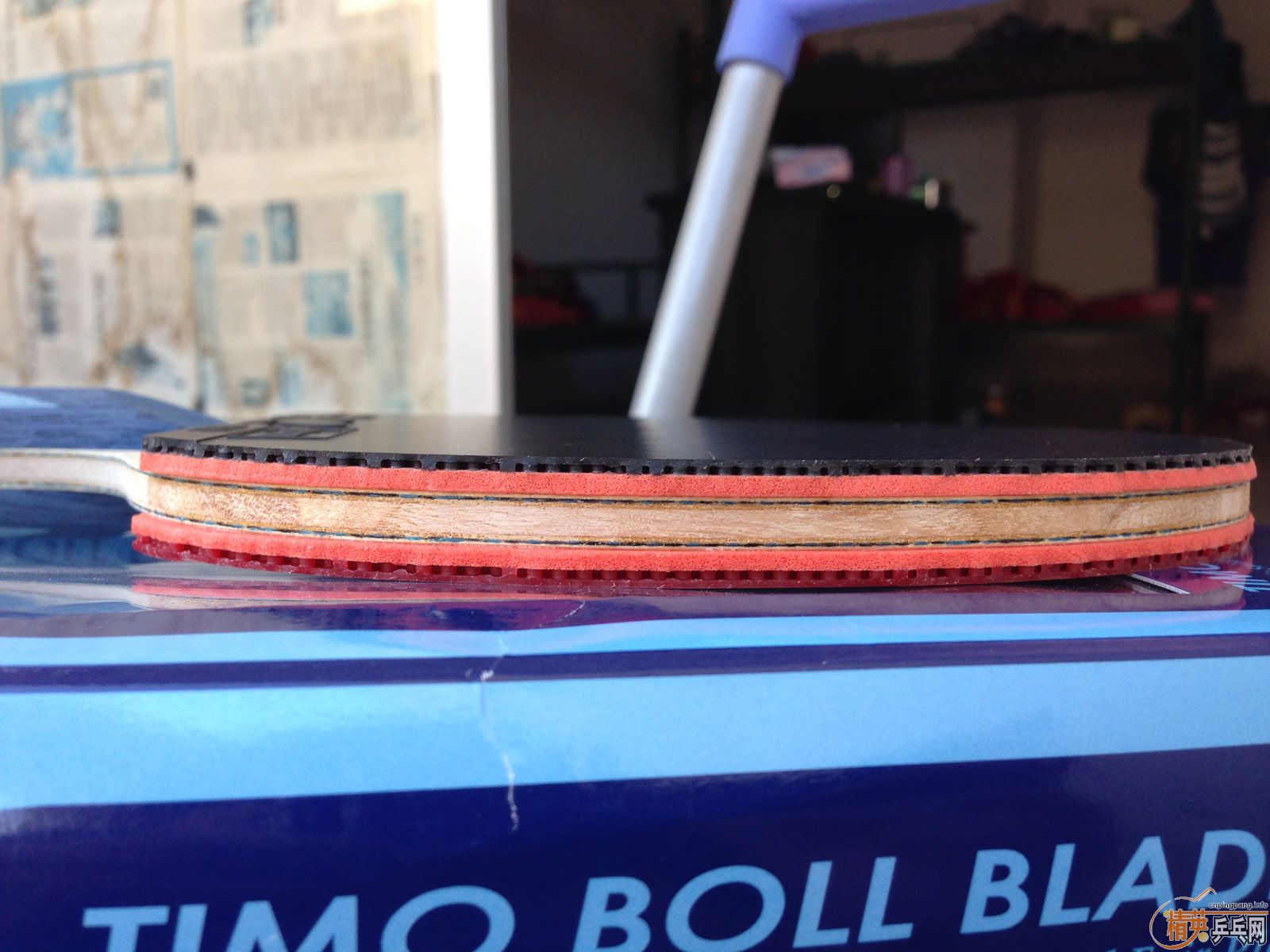 ��������ALC��+��T05��+��T64����ALC��64ֻ�������νӽ�ȫ�ף�������Ÿ����ͼ����ӭ�������ͣ�