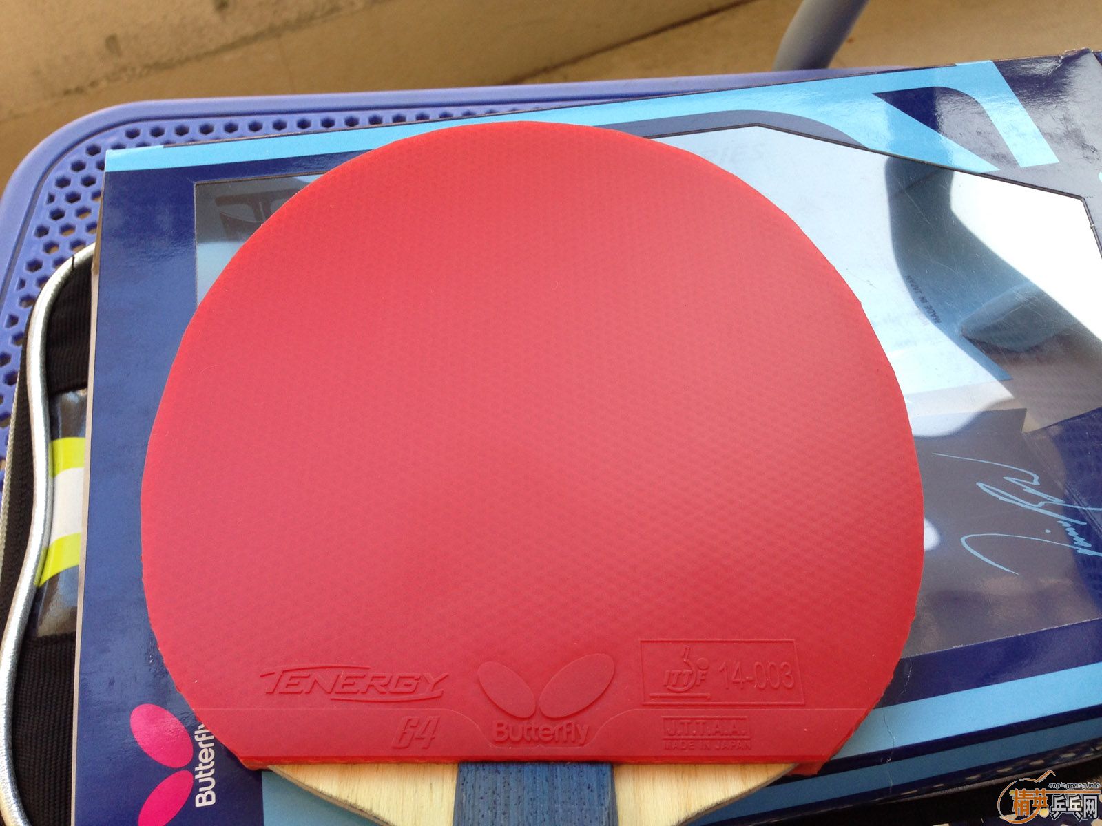 ��������ALC��+��T05��+��T64����ALC��64ֻ�������νӽ�ȫ�ף�������Ÿ����ͼ����ӭ�������ͣ�