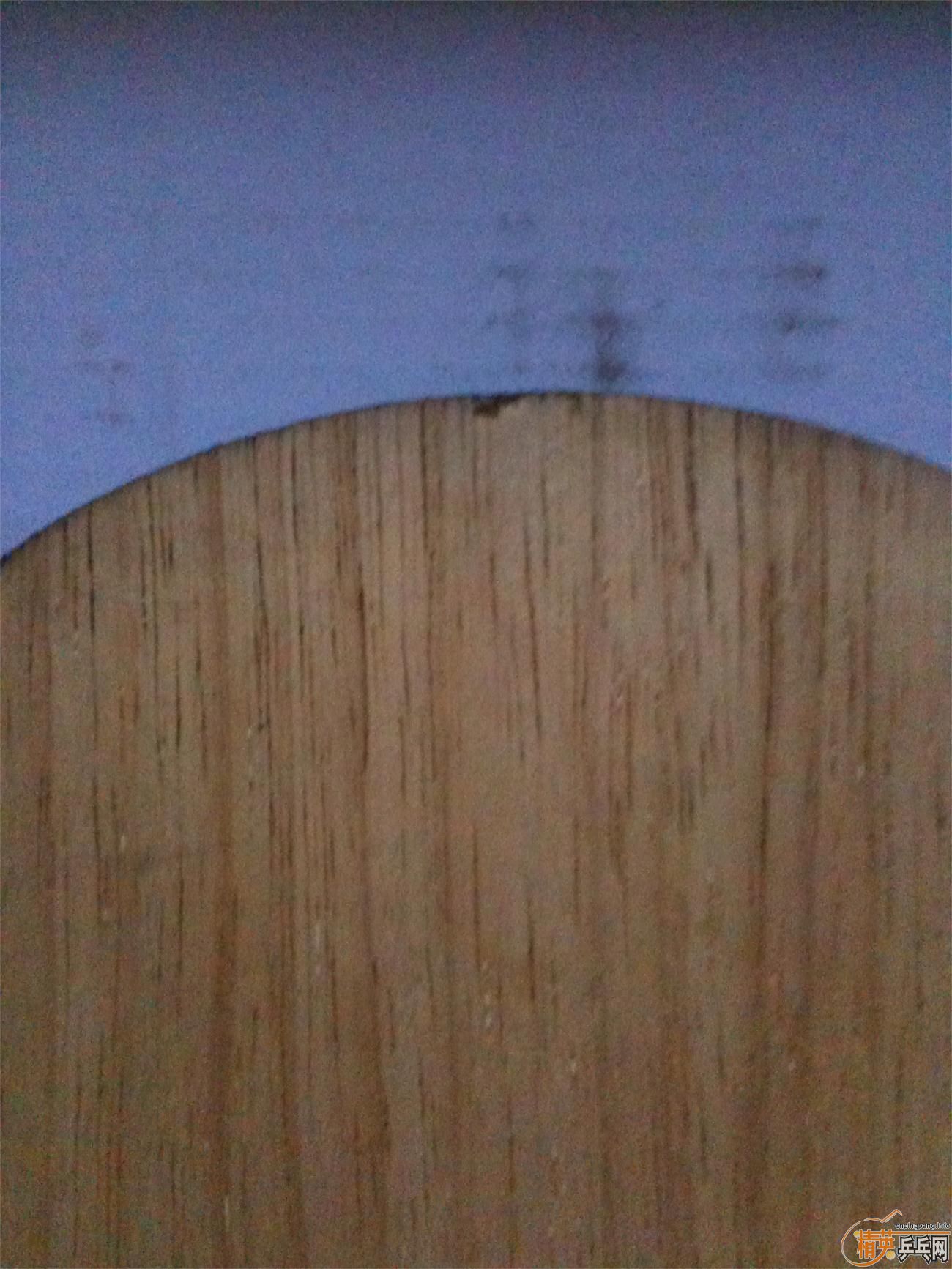 �����ְ�FL������̼���л���220���ʣ�����һ��9�׵�UFO��֧�����������ϣ�