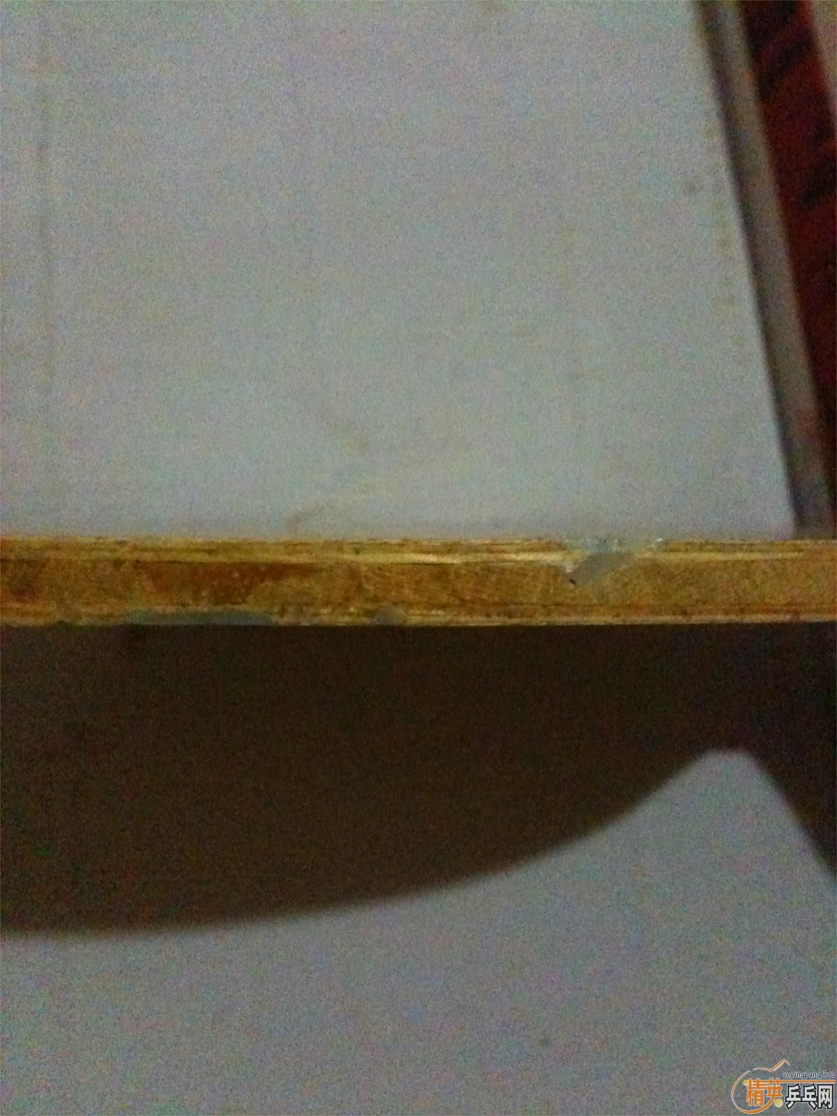 �����ְ�FL������̼���л���220���ʣ�����һ��9�׵�UFO��֧�����������ϣ�