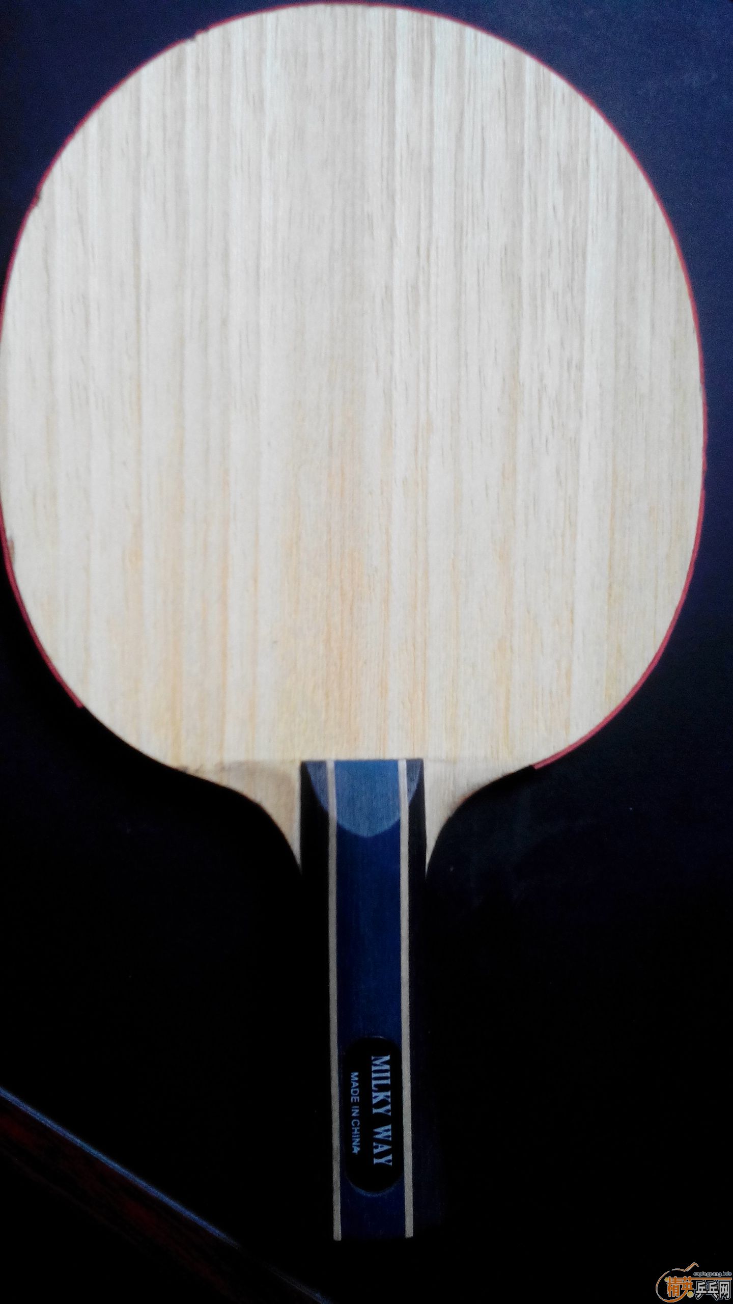 ������E1���һֻ