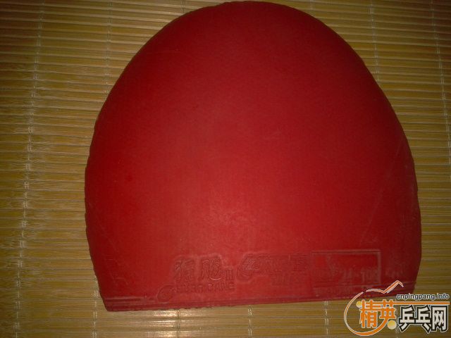 ��Ѫ�����ײ˼ۣ���