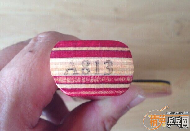 ��������813ֱ��һֻ