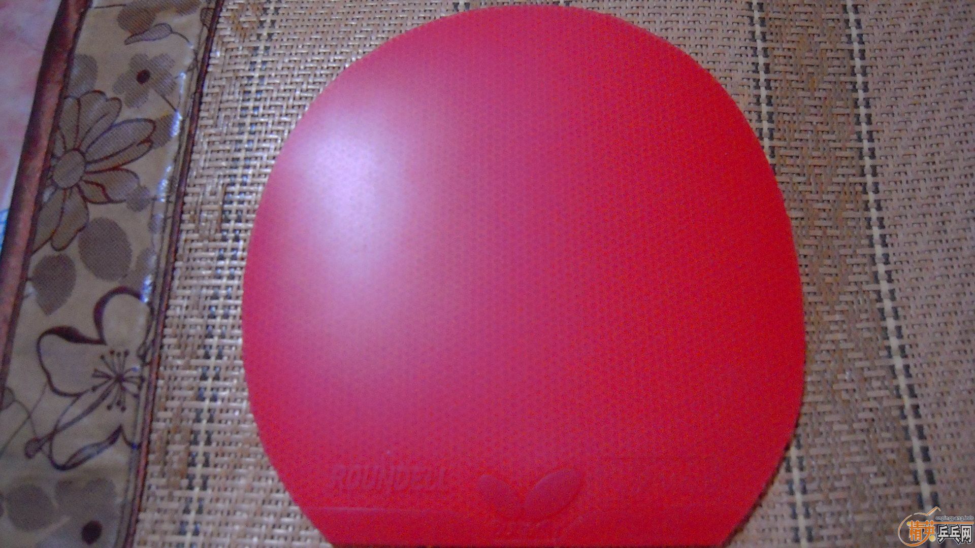 �������к���ROUNDELL SOFT����ɫ2.1��32�ȣ�110���ʣ��������飡