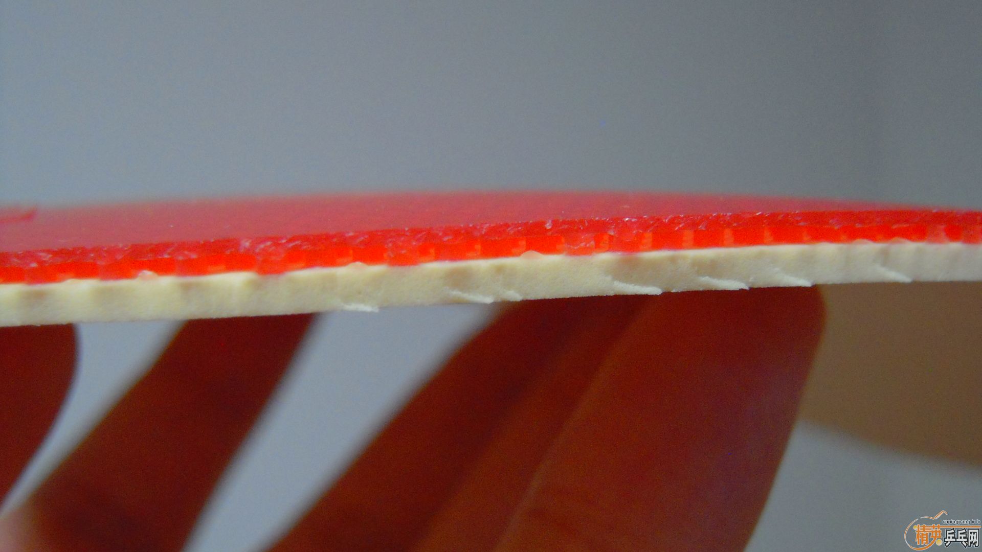 �������к���ROUNDELL SOFT����ɫ2.1��32�ȣ�110���ʣ��������飡