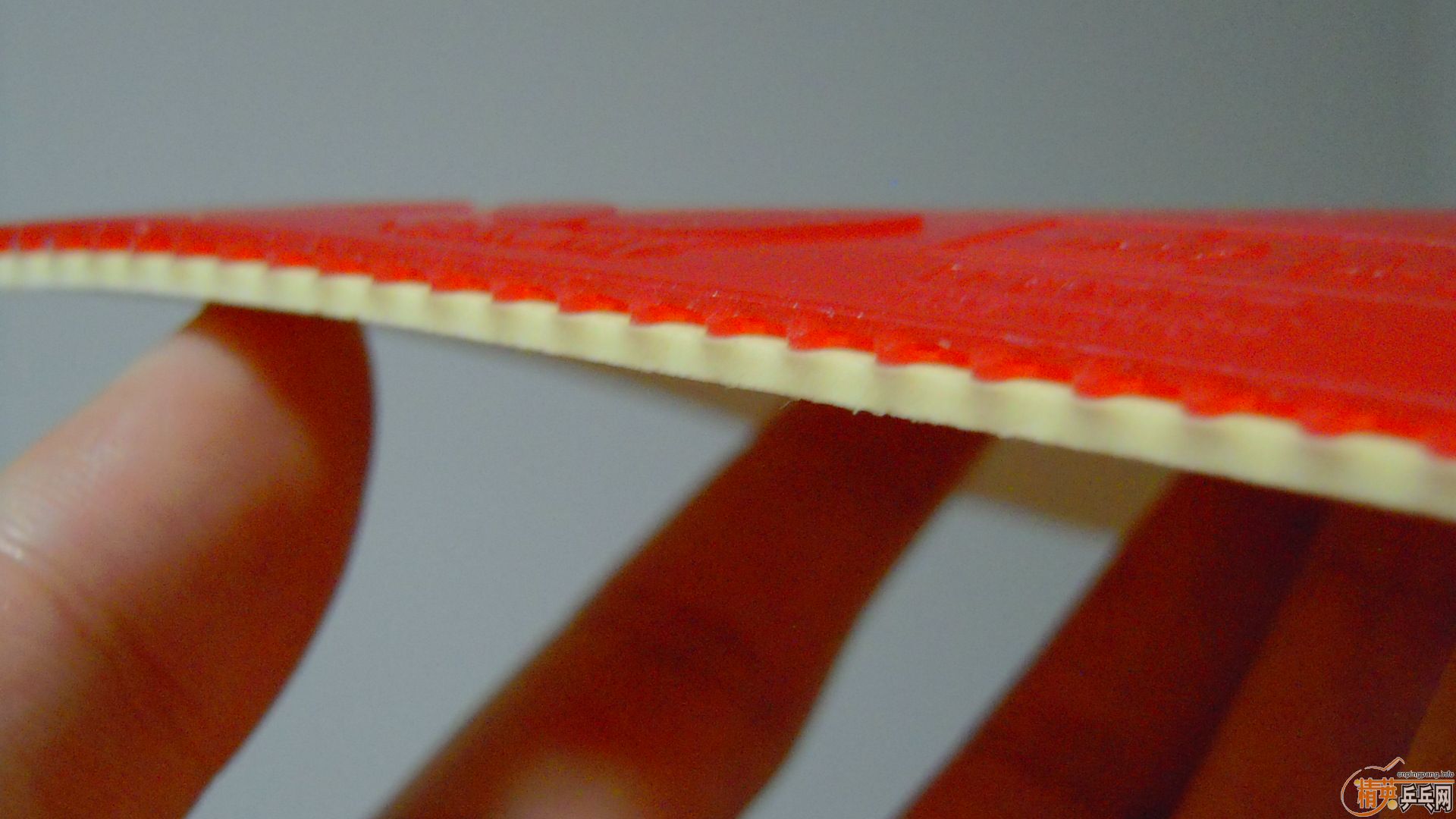 �������к���ROUNDELL SOFT����ɫ2.1��32�ȣ�110���ʣ��������飡