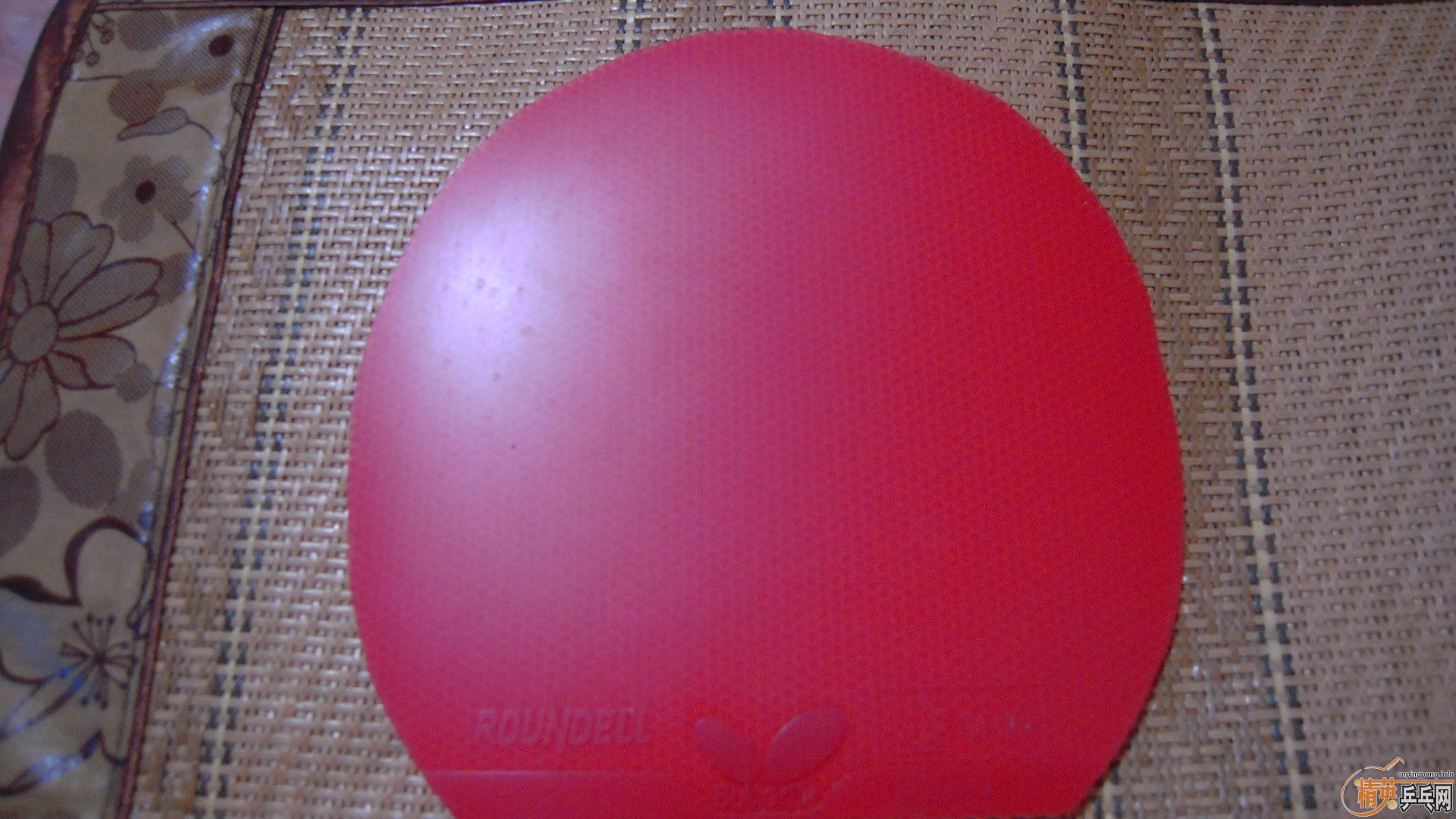 �������к���ROUNDELL SOFT����ɫ2.1��32�ȣ�110���ʣ��������飡