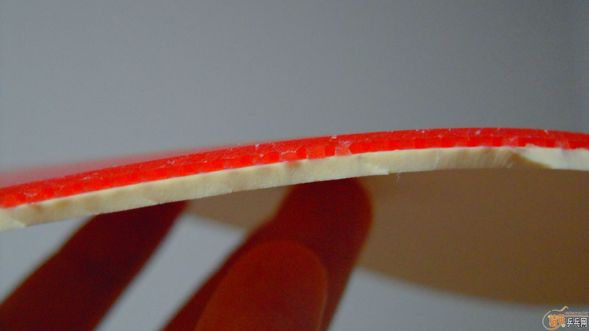 �������к���ROUNDELL SOFT����ɫ2.1��32�ȣ�110���ʣ��������飡