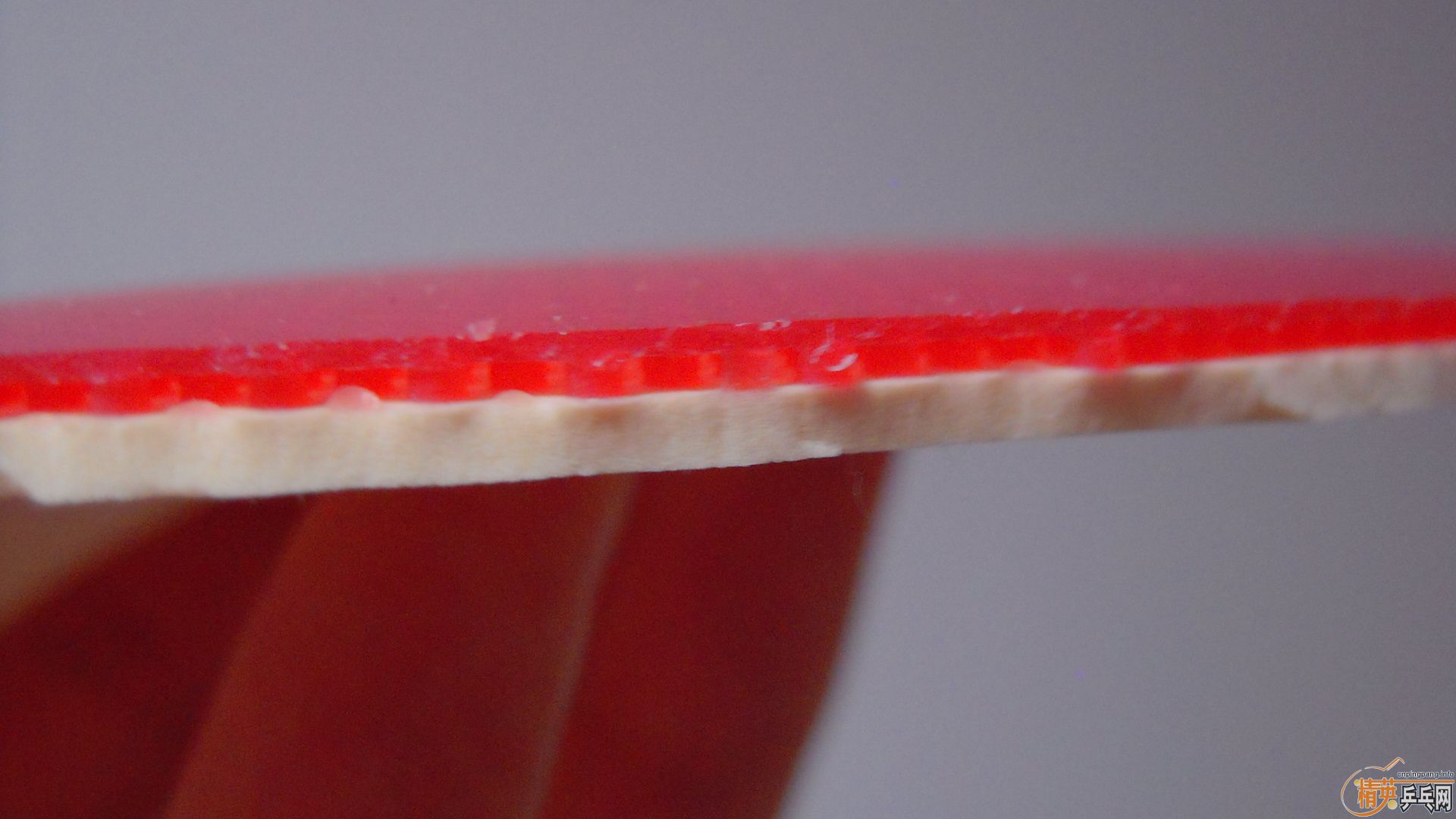 �������к���ROUNDELL SOFT����ɫ2.1��32�ȣ�110���ʣ��������飡