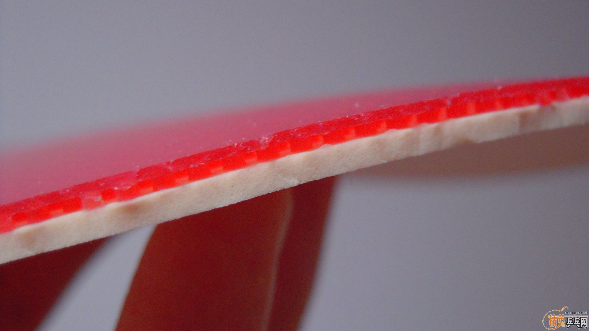 �������к���ROUNDELL SOFT����ɫ2.1��32�ȣ�110���ʣ��������飡