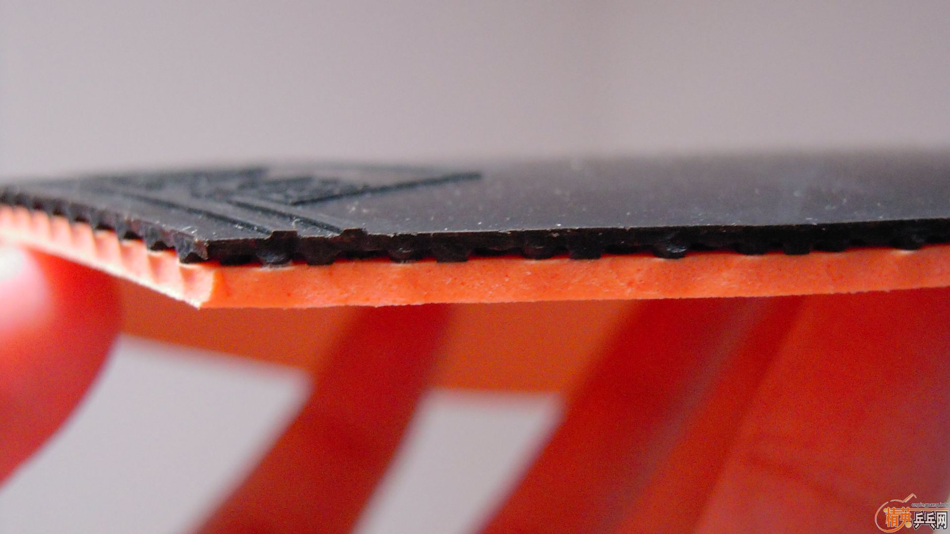 ������˫ϲ���ʡ��3����ɫ��2.1��39�ȣ�110���ʣ��������飡