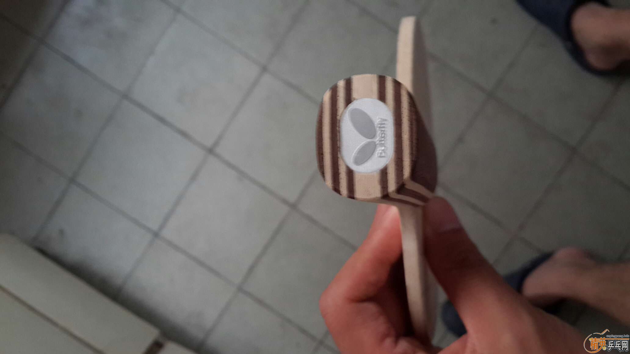 ���������ĿƱ���