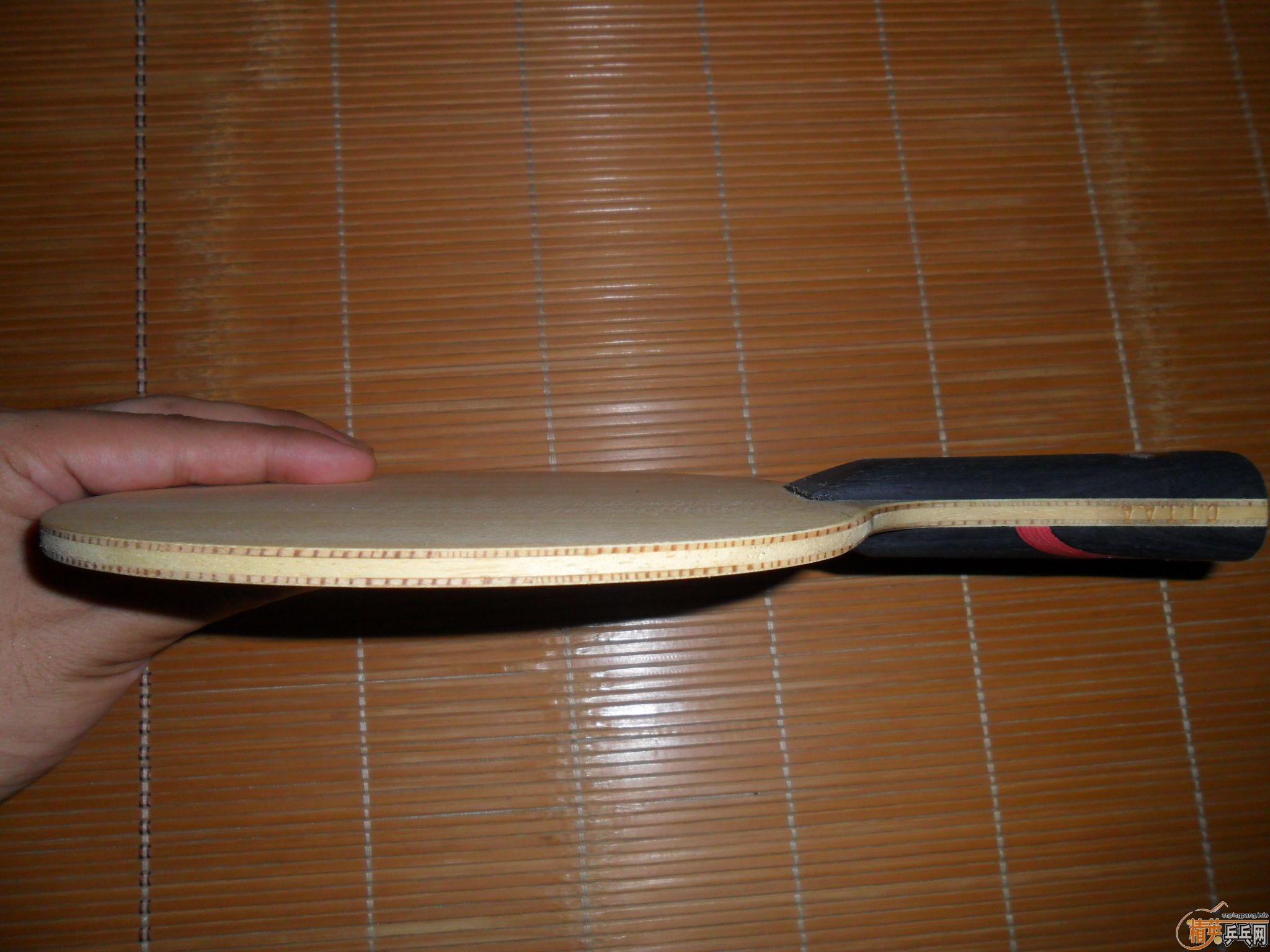 ��95���º�˫ϲ���H-WN����һ��