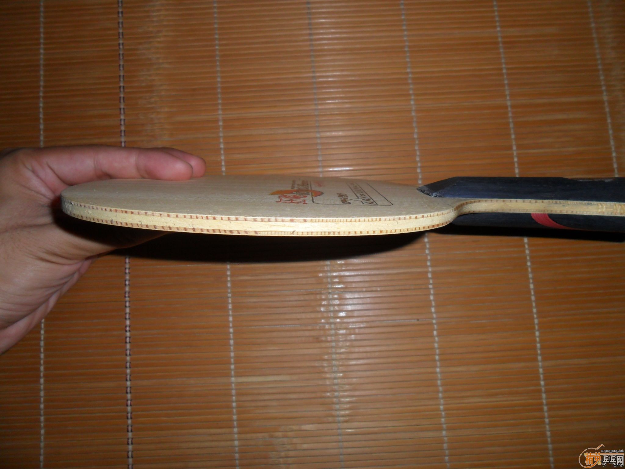 ��95���º�˫ϲ���H-WN����һ��