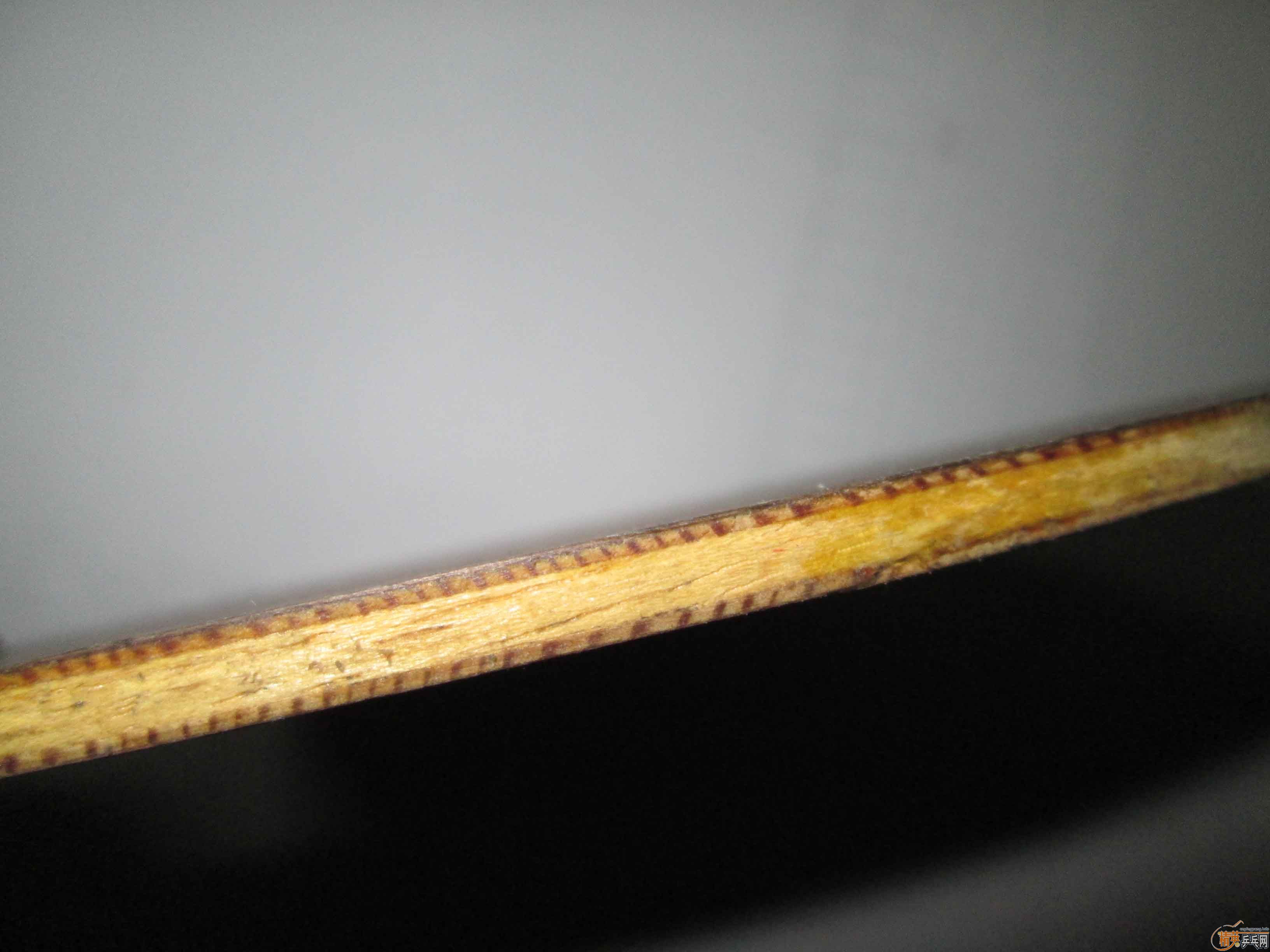 ���ϰ�Ʊ�oc