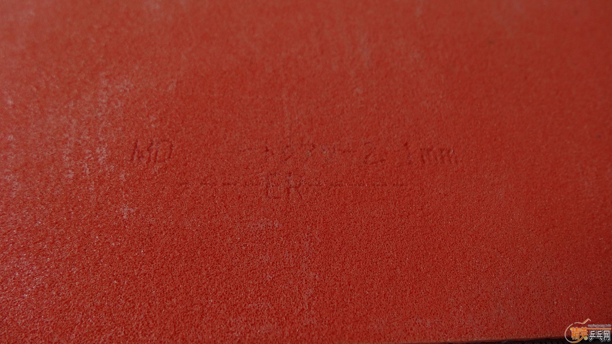 �����˼��µĺ���T64 FX 2.1