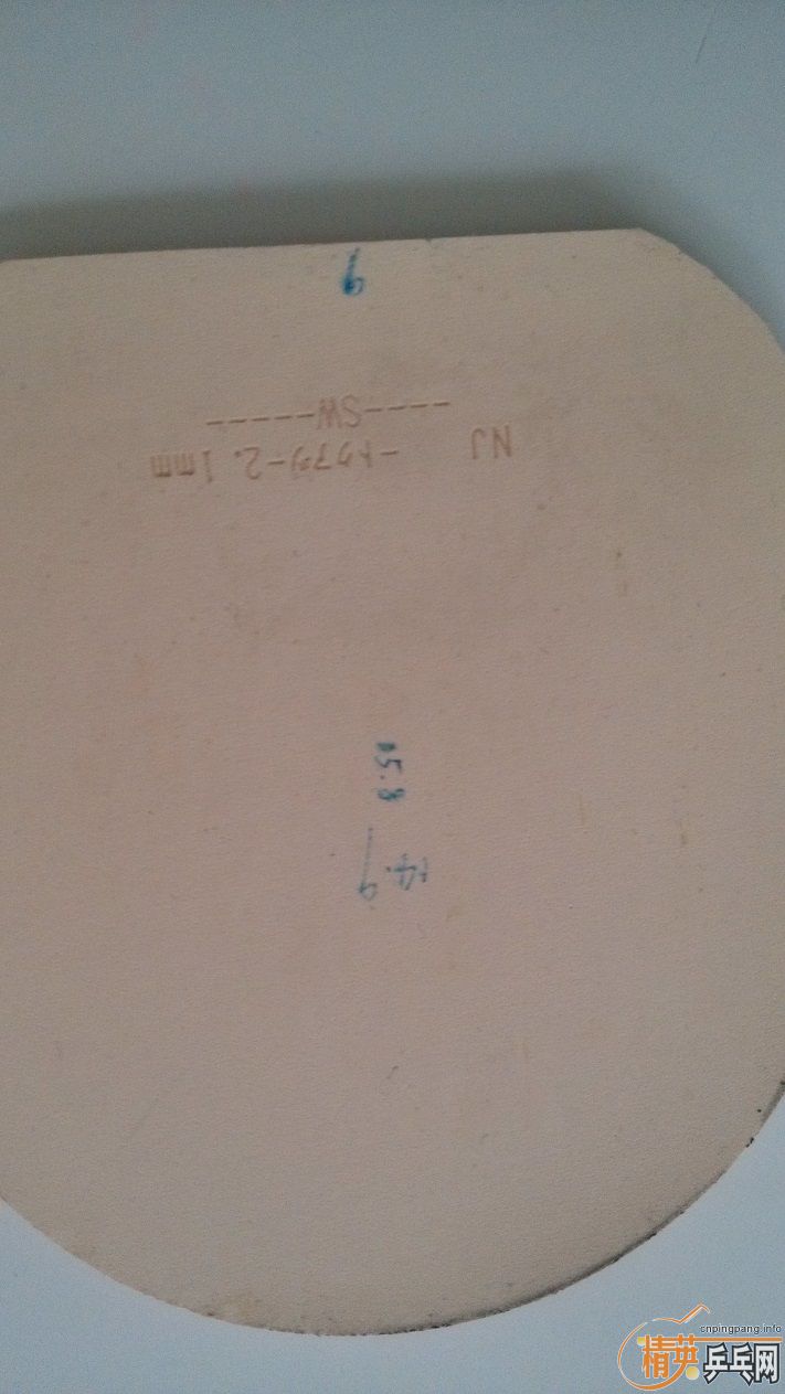 ֧���� ���� 7 ���� ROUNDELL ��ɫ�׽� 90 ����