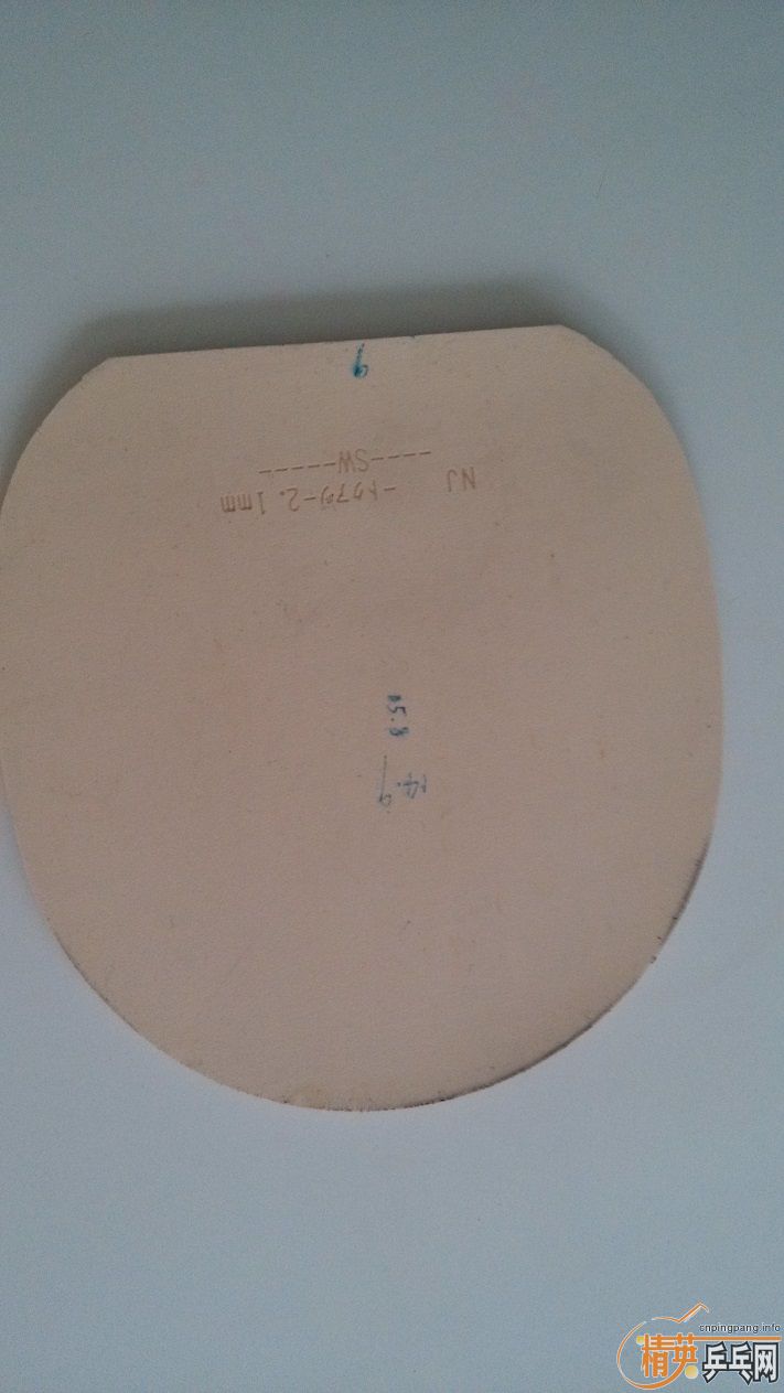 ֧���� ���� 7 ���� ROUNDELL ��ɫ�׽� 90 ����