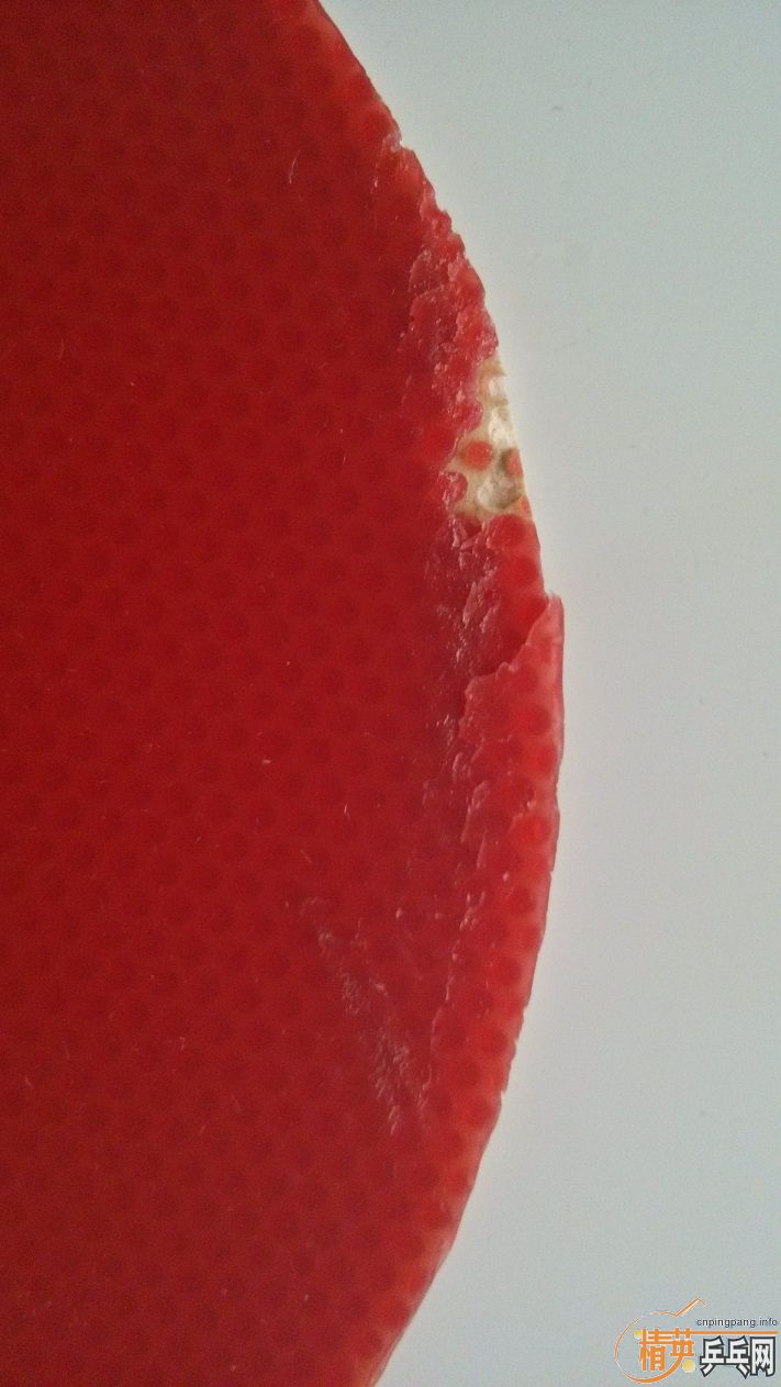 ֧���� ���� 7 ���� ROUNDELL ��ɫ�׽� 90 ����