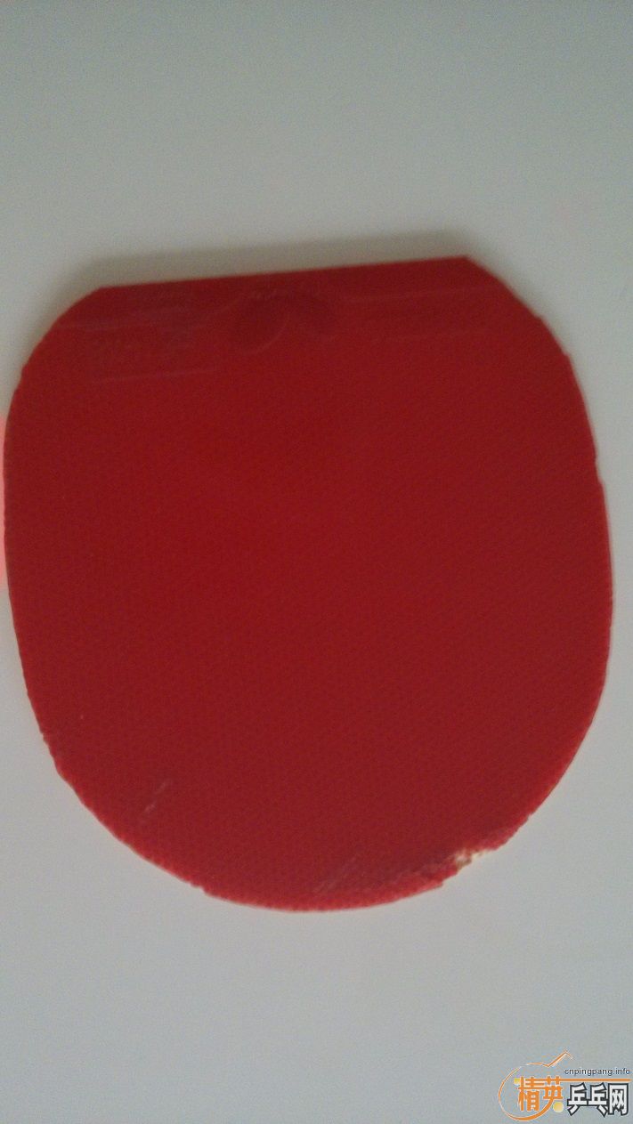 ֧���� ���� 7 ���� ROUNDELL ��ɫ�׽� 90 ����