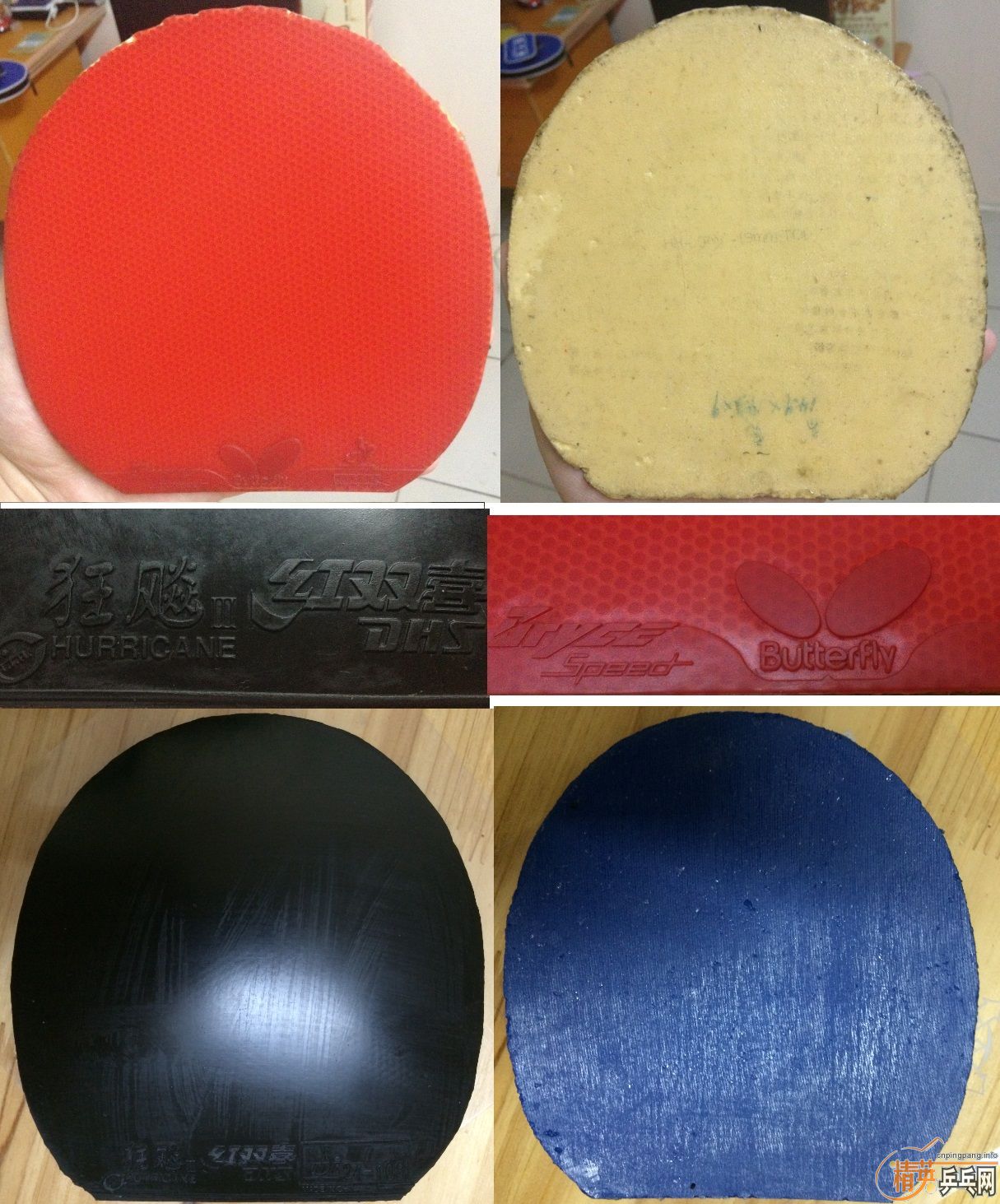 ����������������ֹ�ճ����ͷѣ�������̴5������Ի��������񣬴�͡���������������