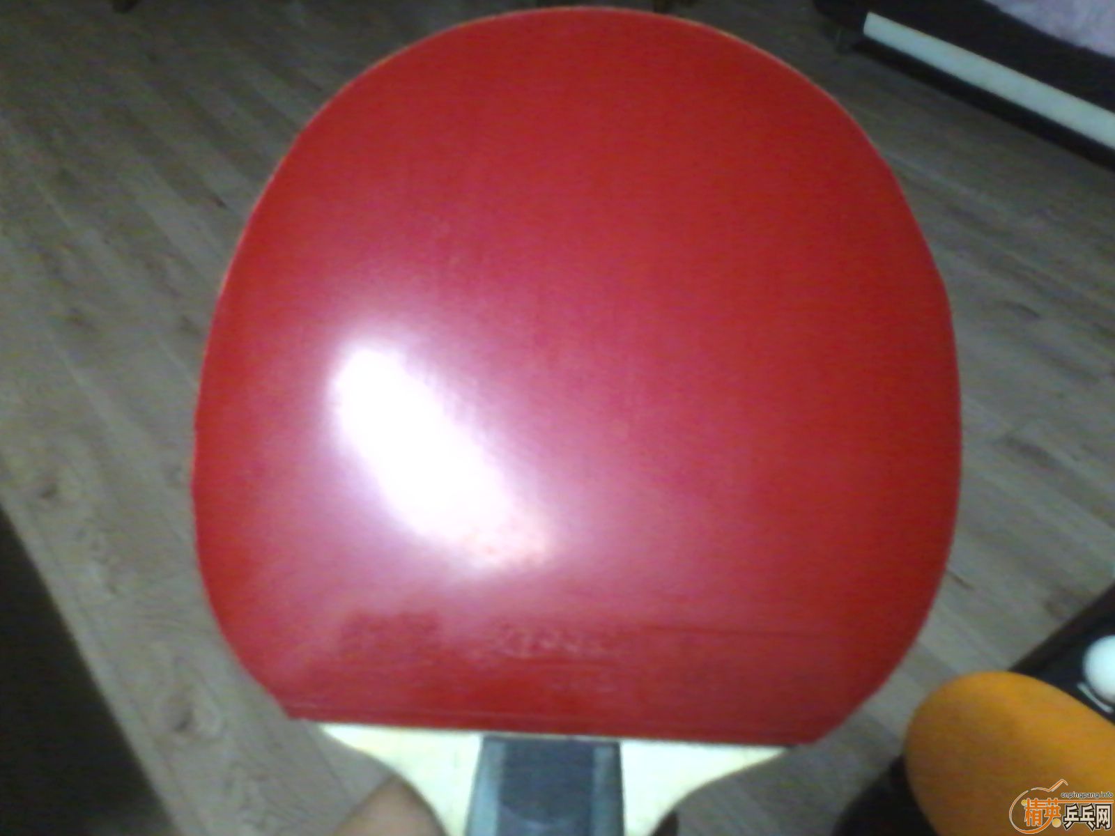 ���칭3������ʡ��T05FX��С����F��˹�ؿ��Ƚ�Ƭ