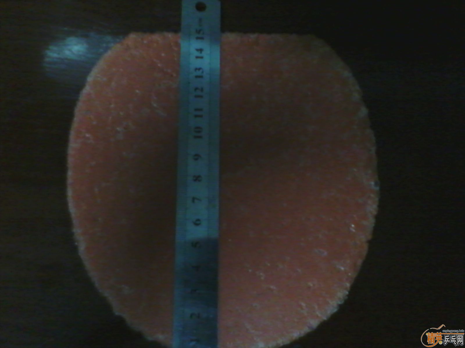 ���칭3������ʡ��T05FX��С����F��˹�ؿ��Ƚ�Ƭ