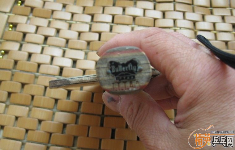 *****����̼  ���Ƽ۸�400Ԫ*******