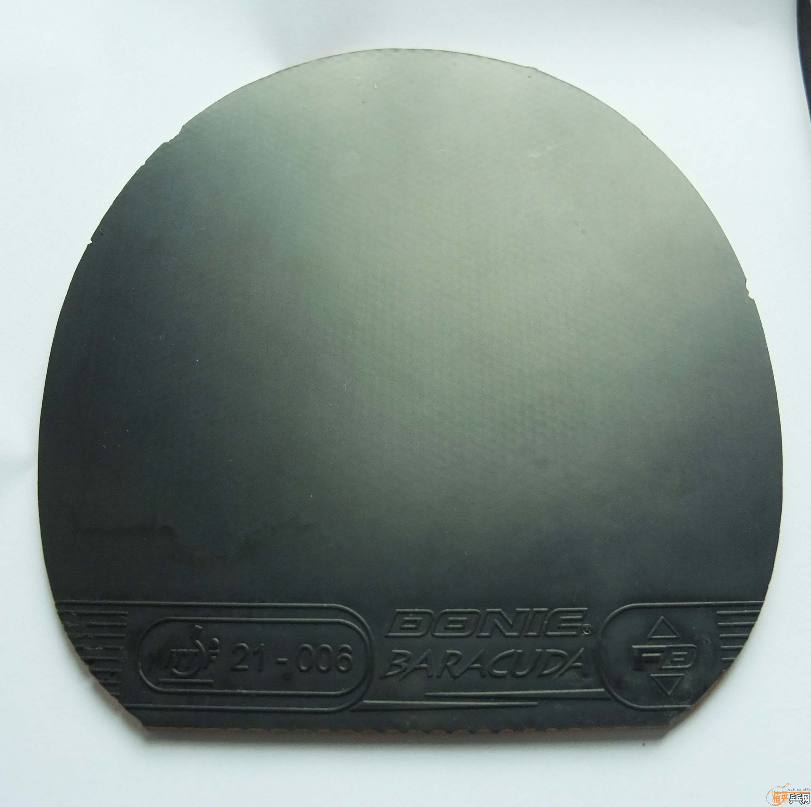 ������Ｐ���ͺ�V