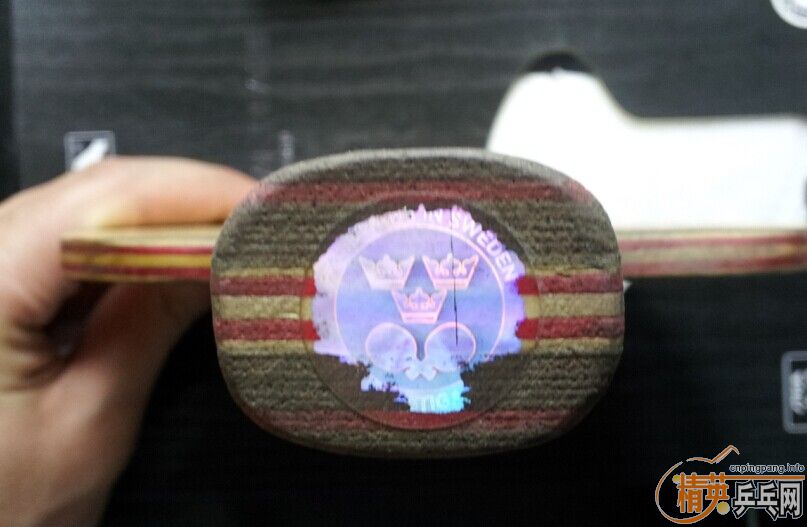 ��������˹�ٿ�CL-CR   �����������